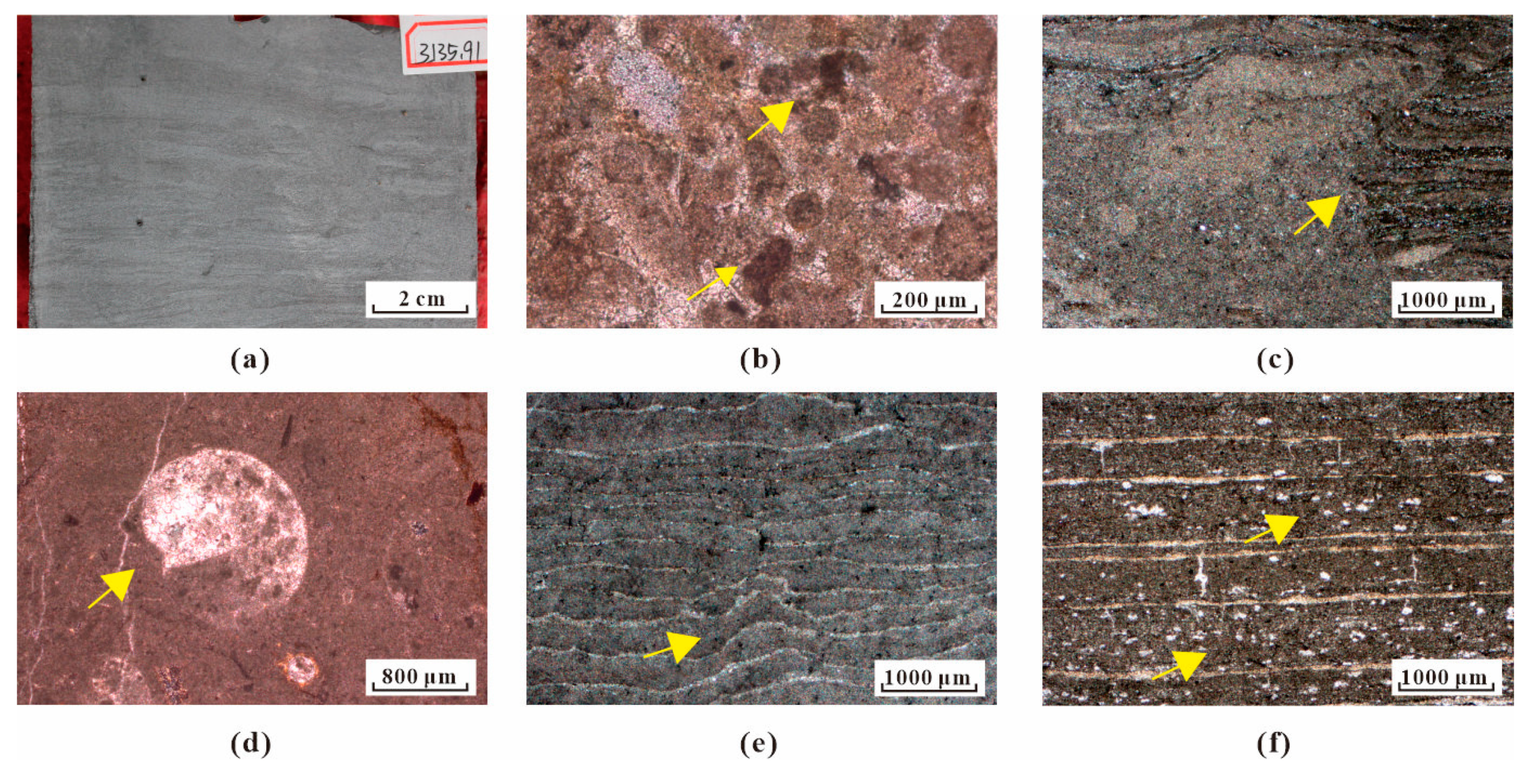 Minerals 14 00070 g007