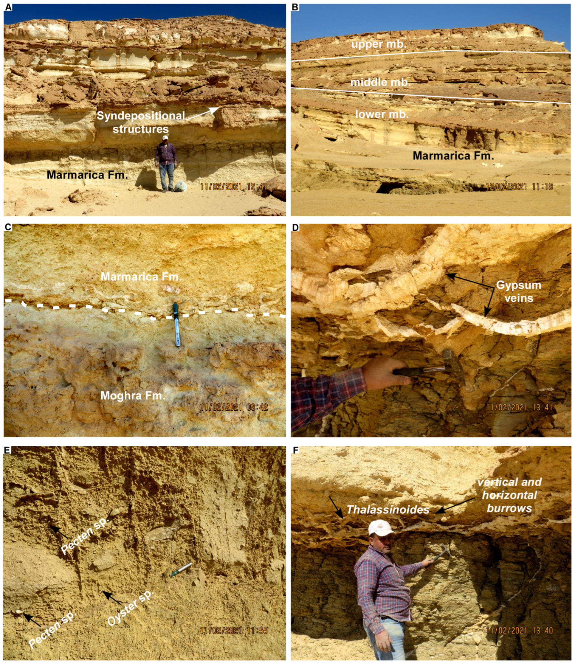 Minerals 14 00073 g003