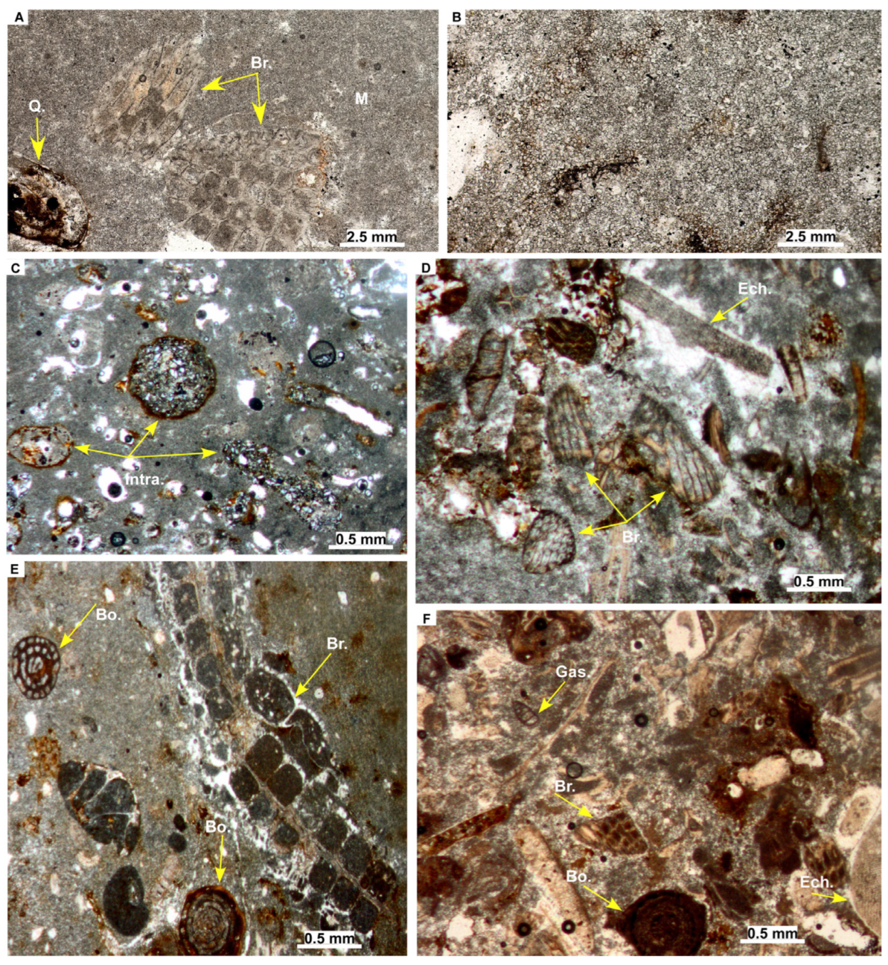 Minerals 14 00073 g005