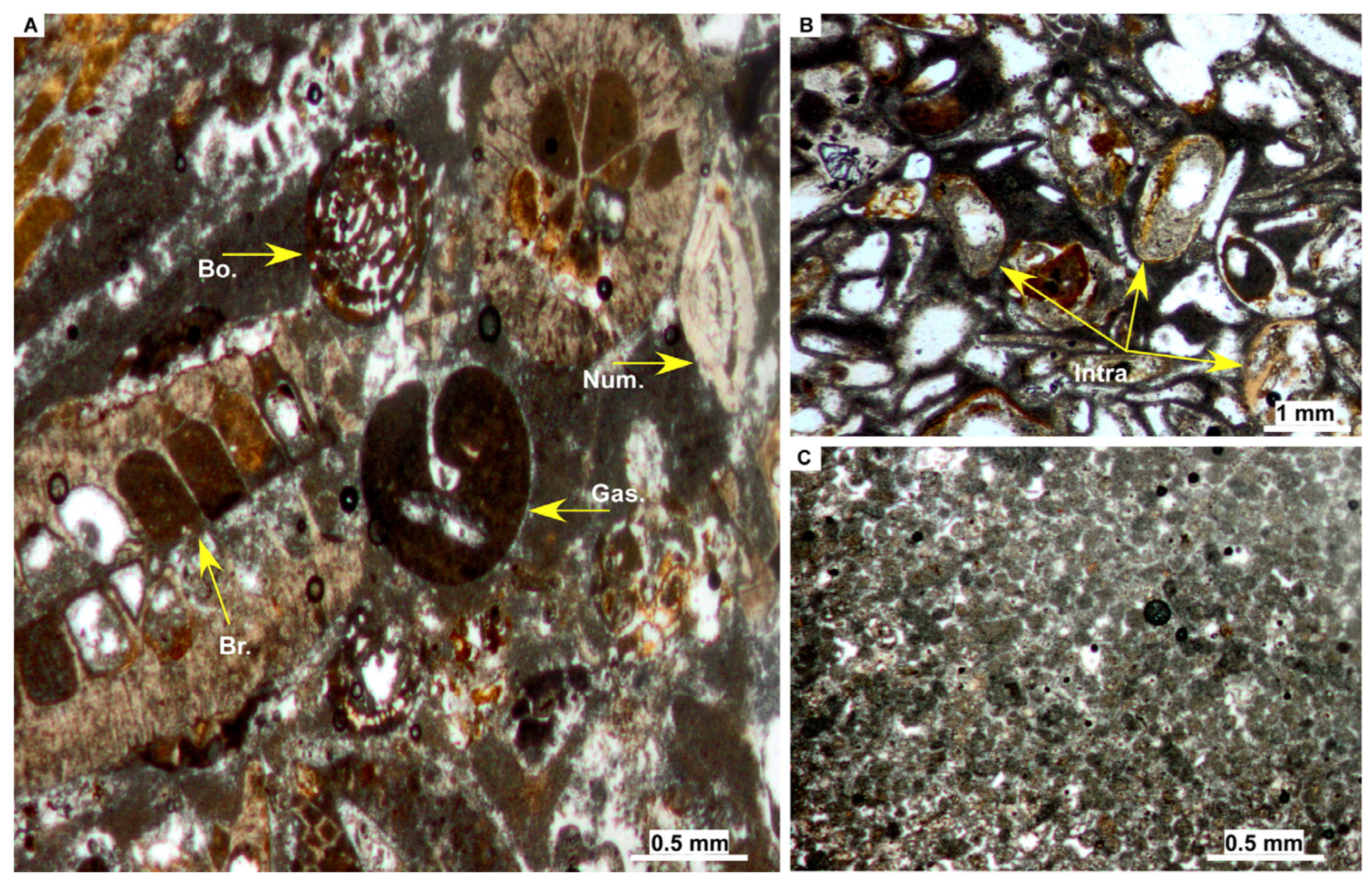 Minerals 14 00073 g006