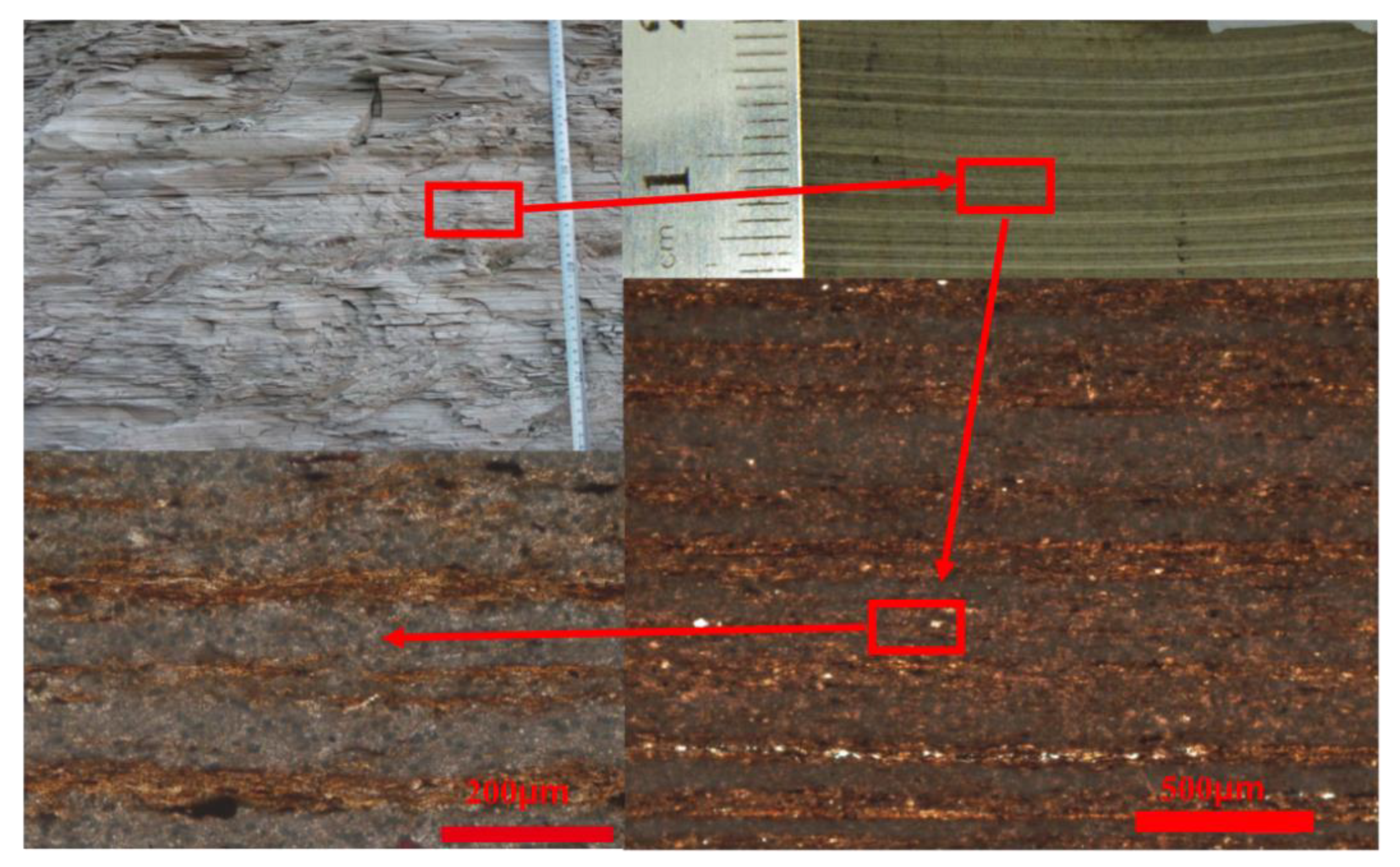 Minerals 14 00074 g009