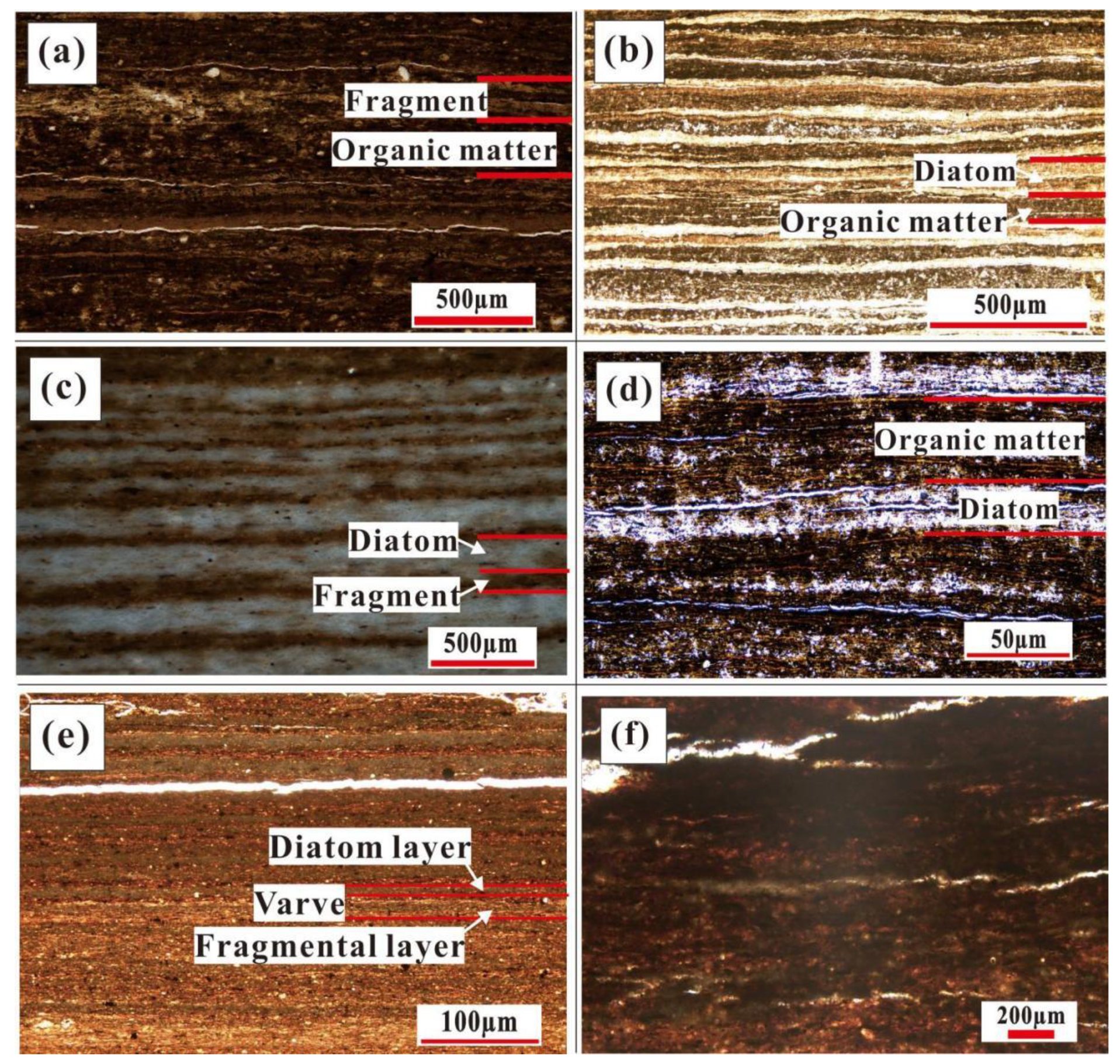 Minerals 14 00074 g012