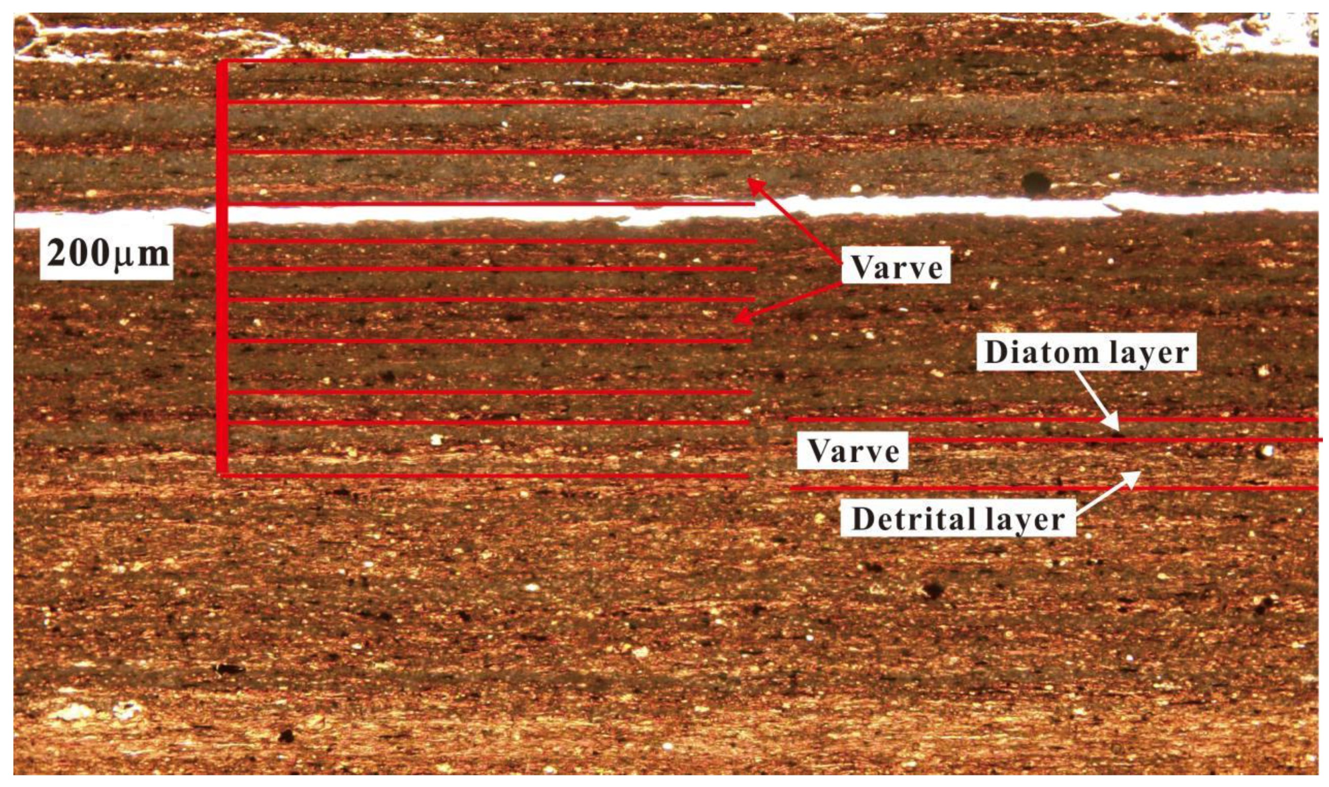 Minerals 14 00074 g014
