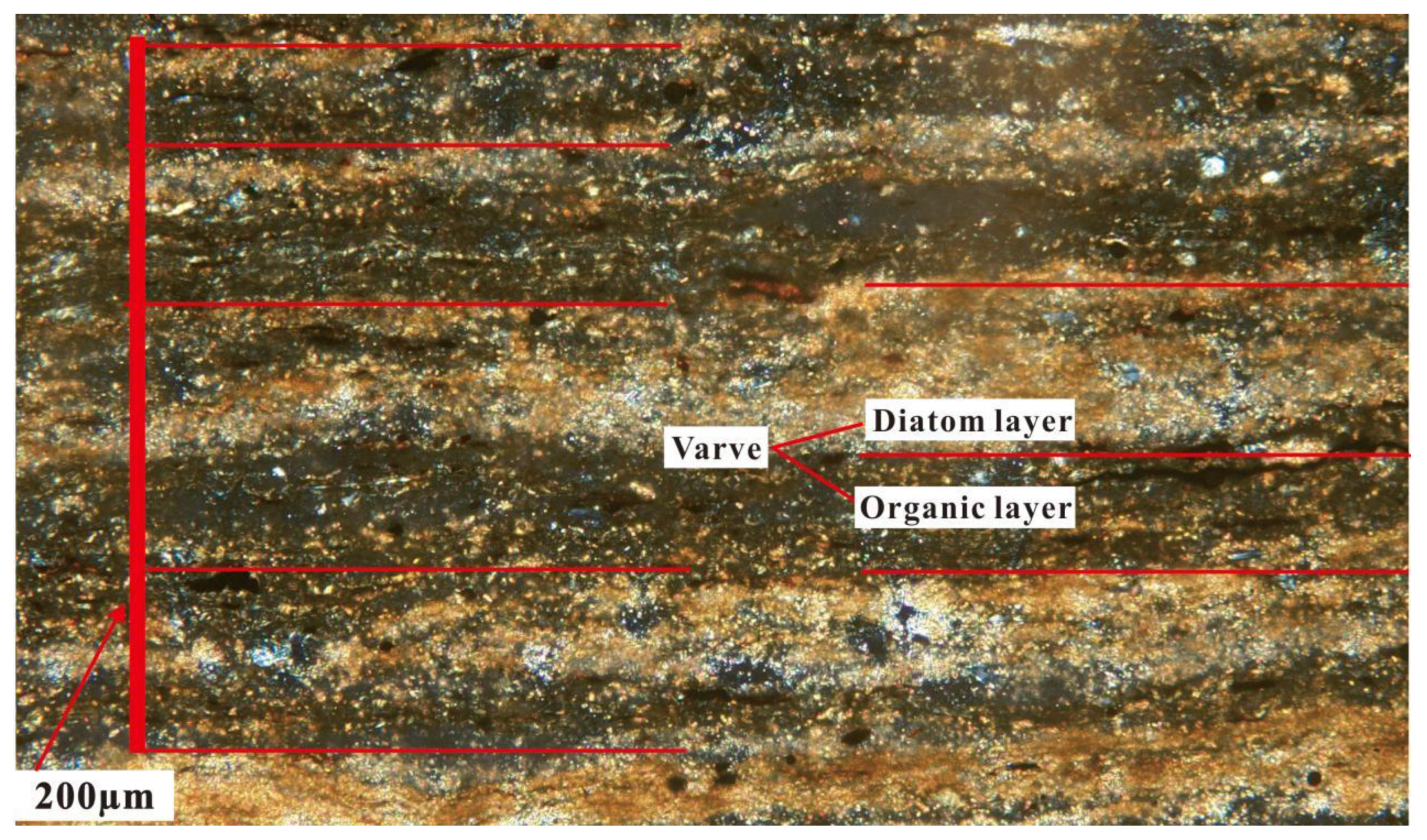 Minerals 14 00074 g015