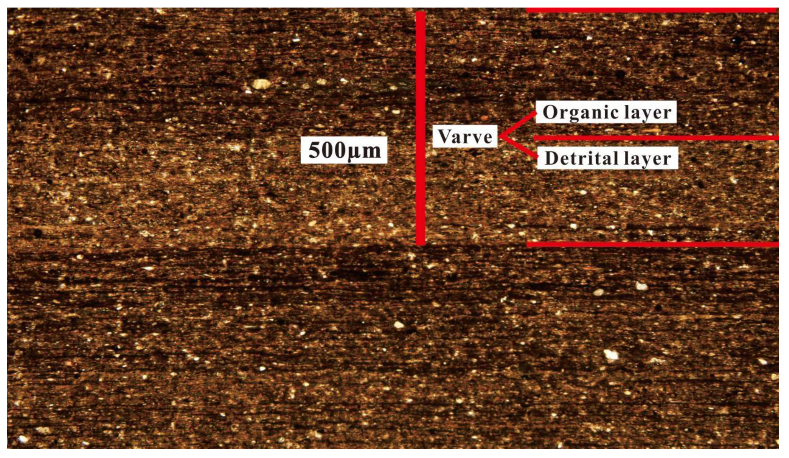 Minerals 14 00074 g016