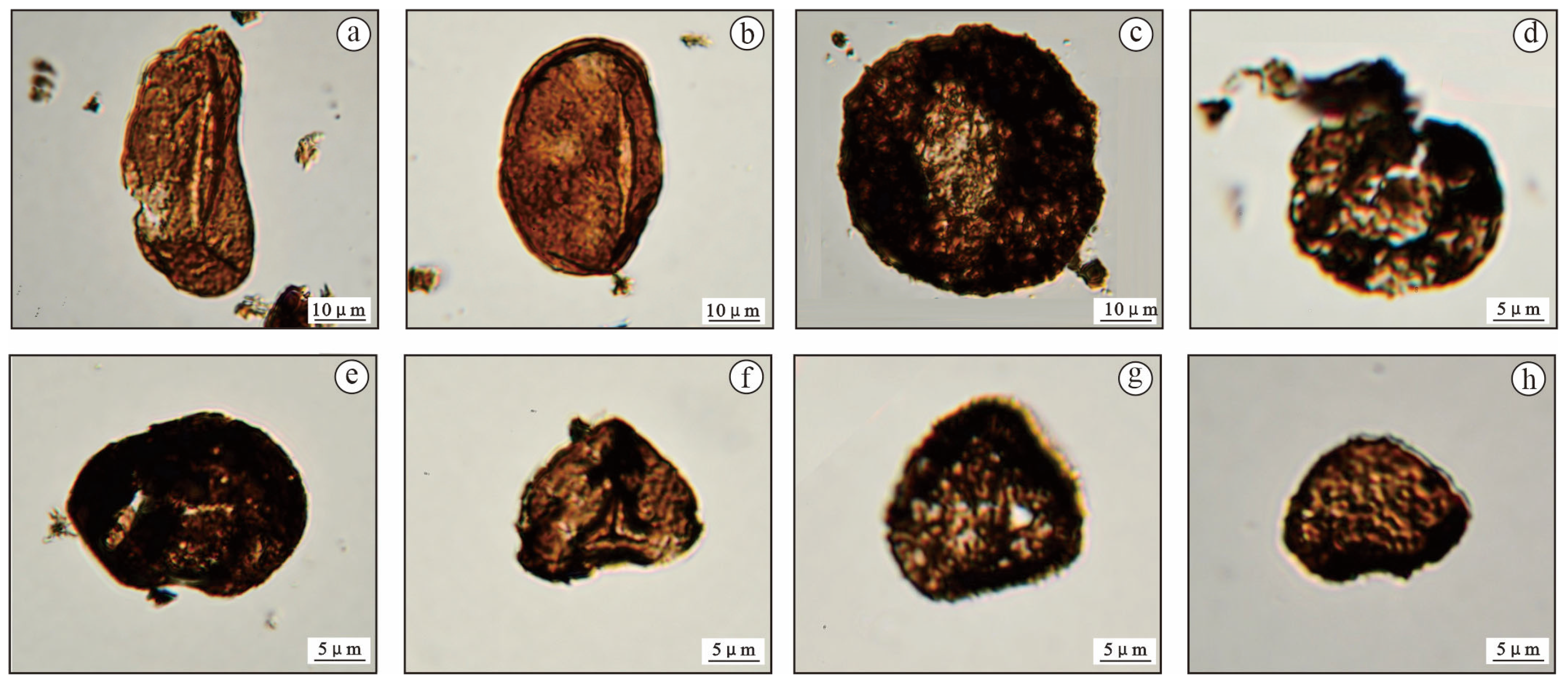 Minerals 14 00078 g003