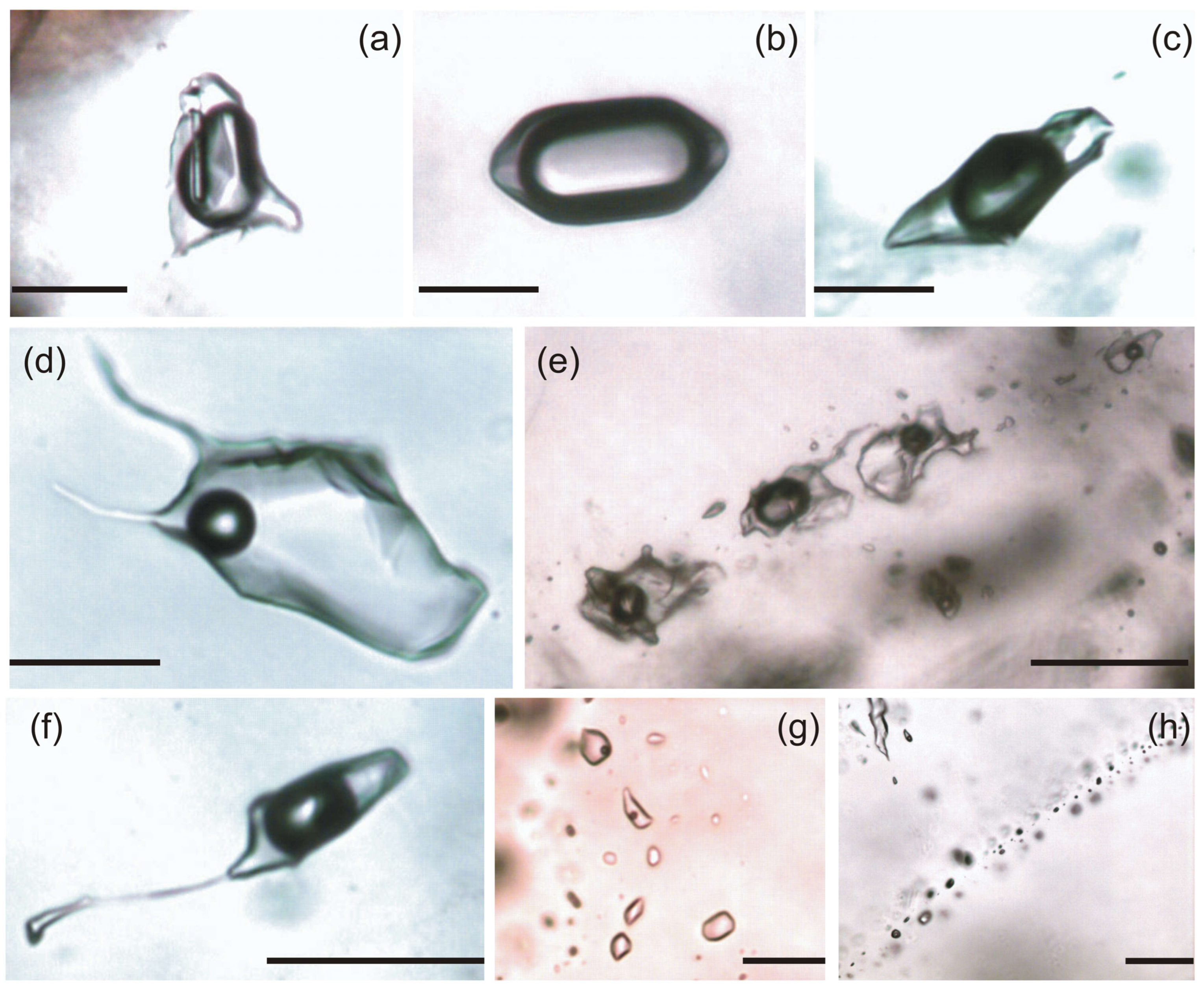 Minerals 14 00086 g005 Minerals 14 00086 g005