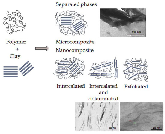 Applications of Clays in Nanocomposites and Ceramics