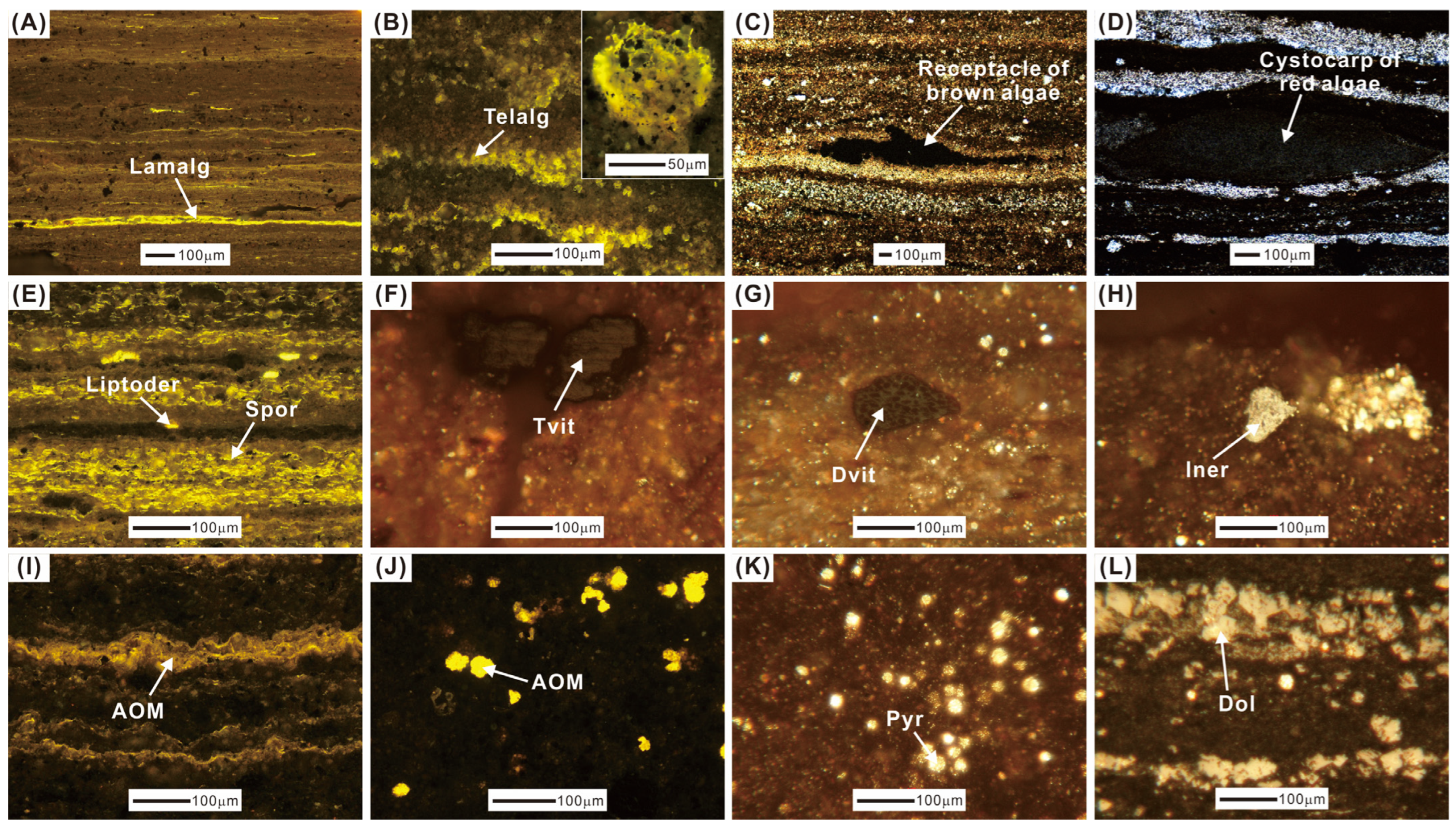 Minerals 14 00094 g002