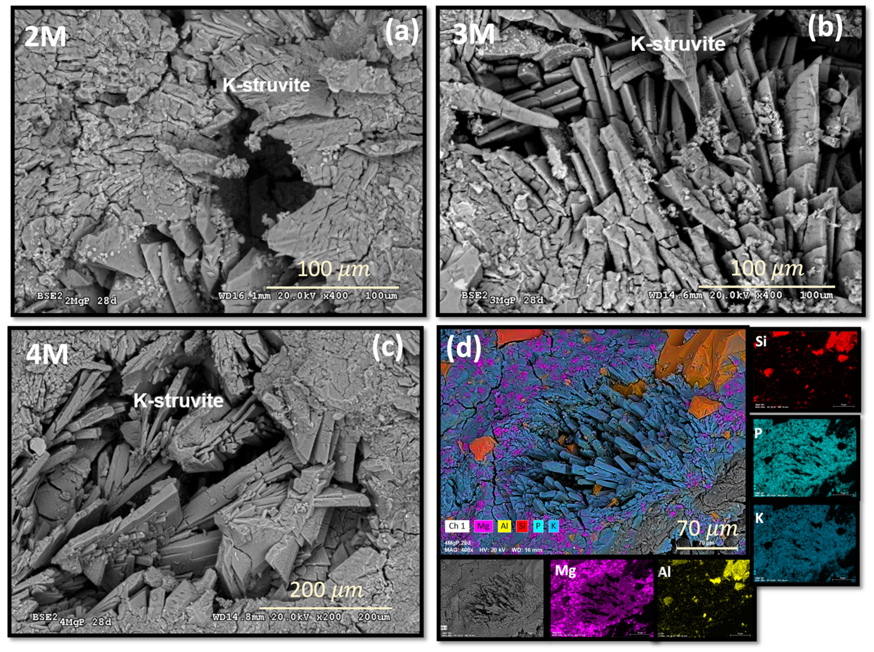 Minerals 14 00103 g007