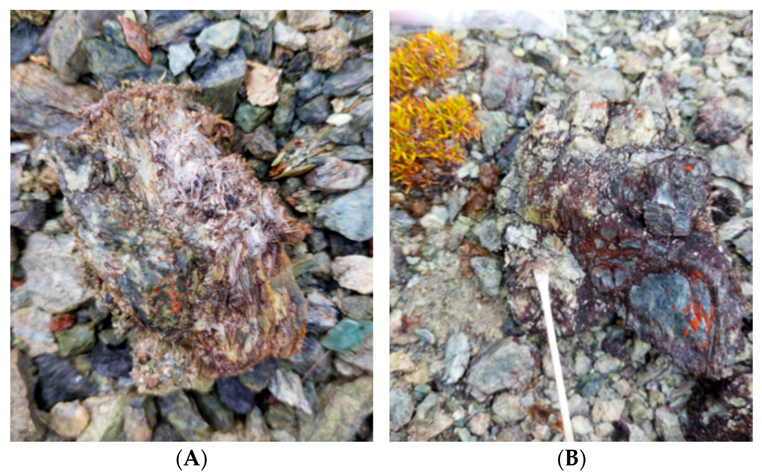 Minerals 14 00106 g003 Minerals 14 00106 g003