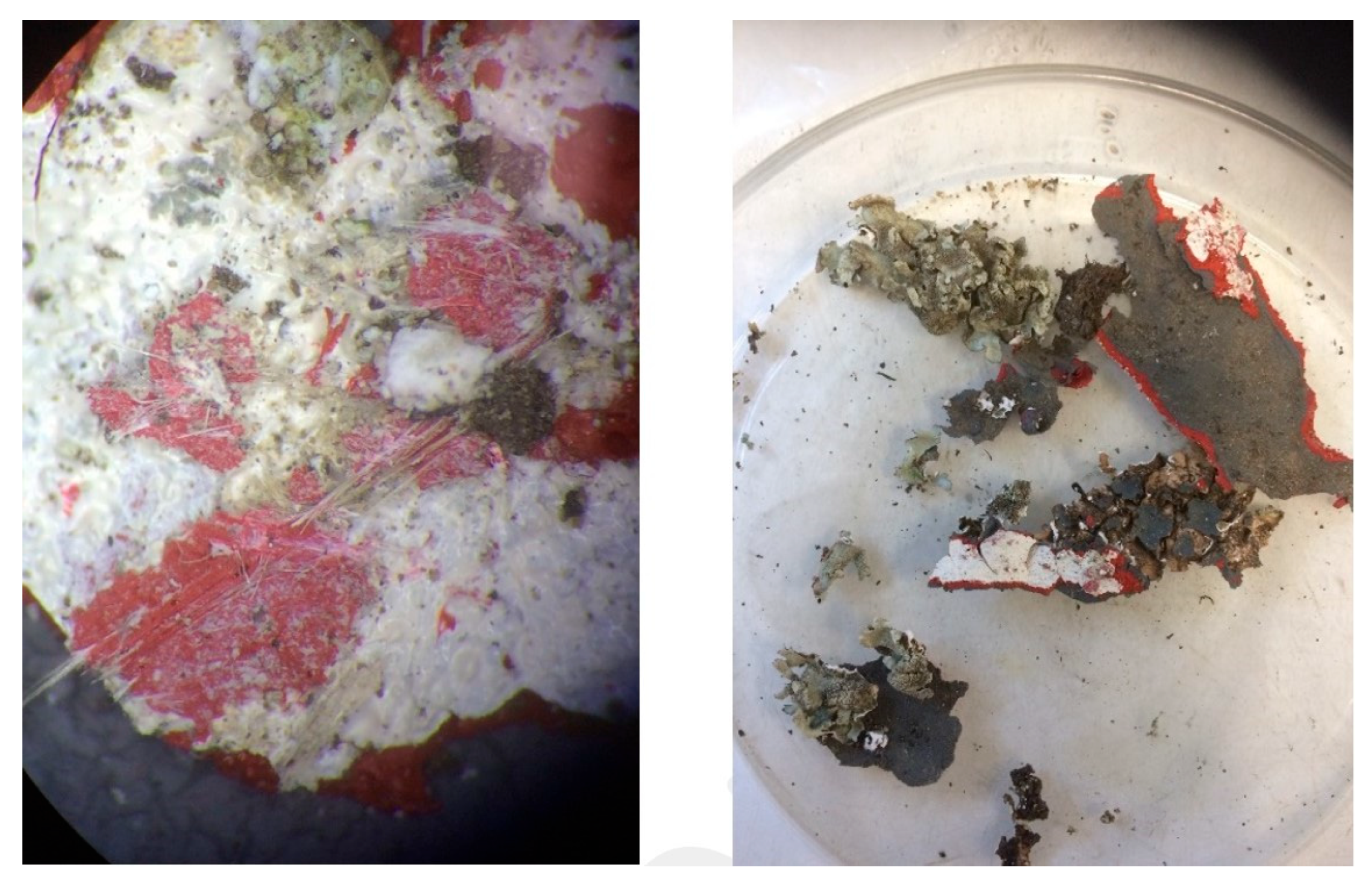 Minerals 14 00106 g007 Minerals 14 00106 g007