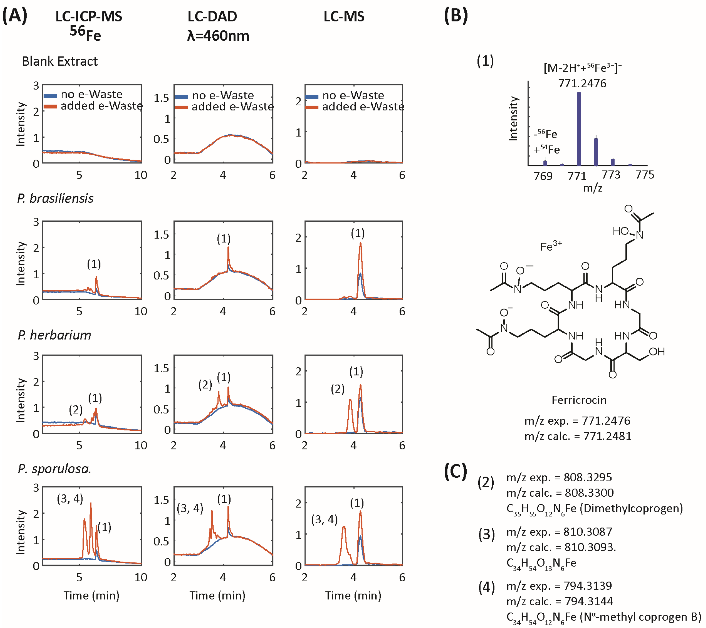Minerals 14 00111 g005 Minerals 14 00111 g005