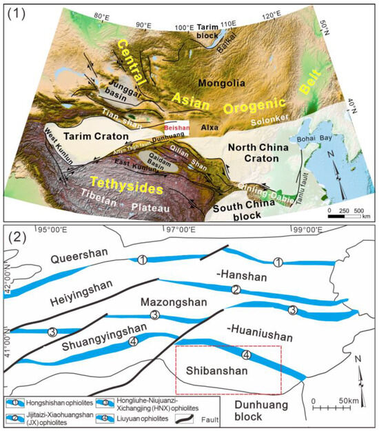 Petrogenesis and Tectonic Significance of Early Permian