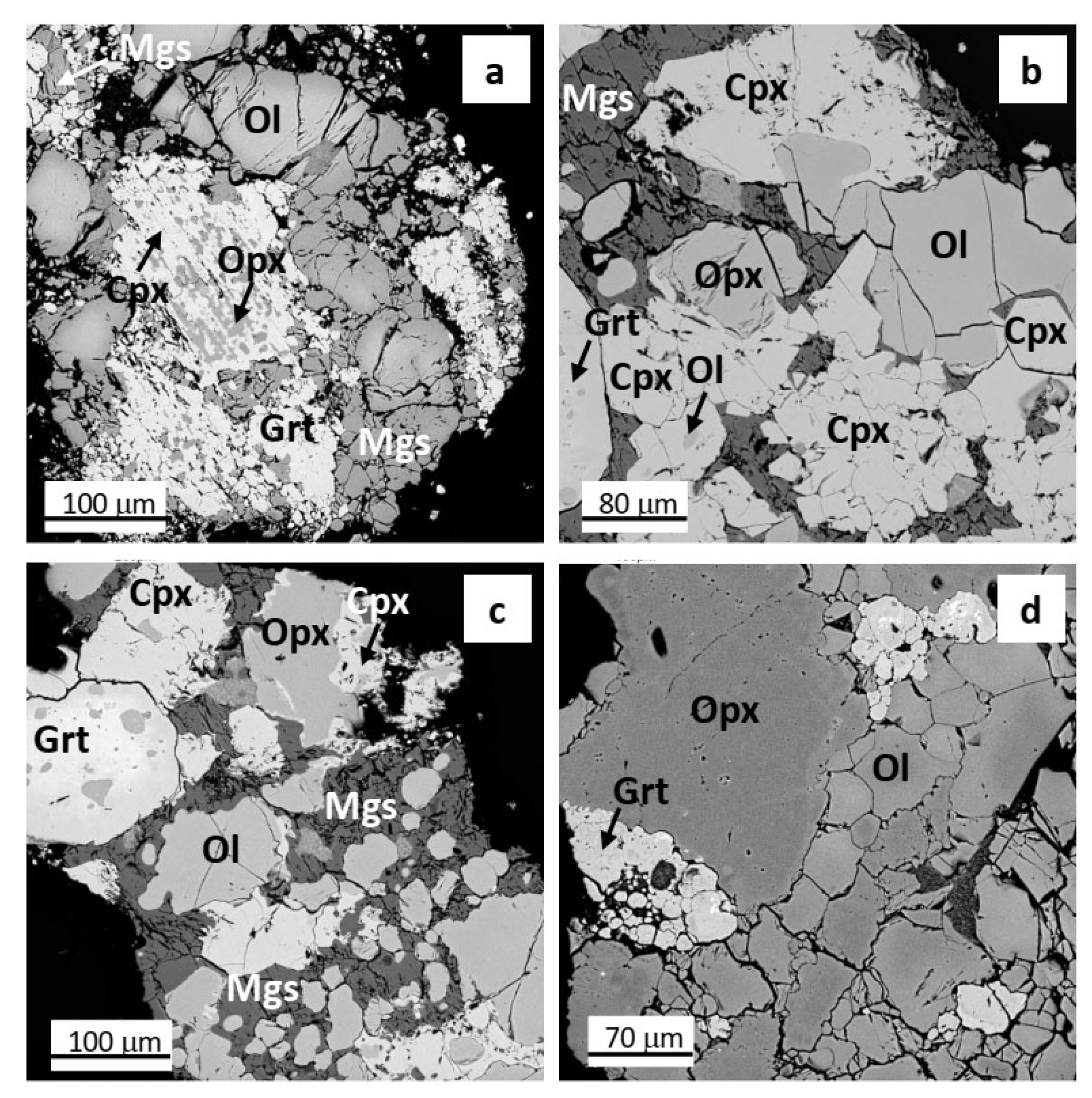 Minerals 14 00119 g001 Minerals 14 00119 g001