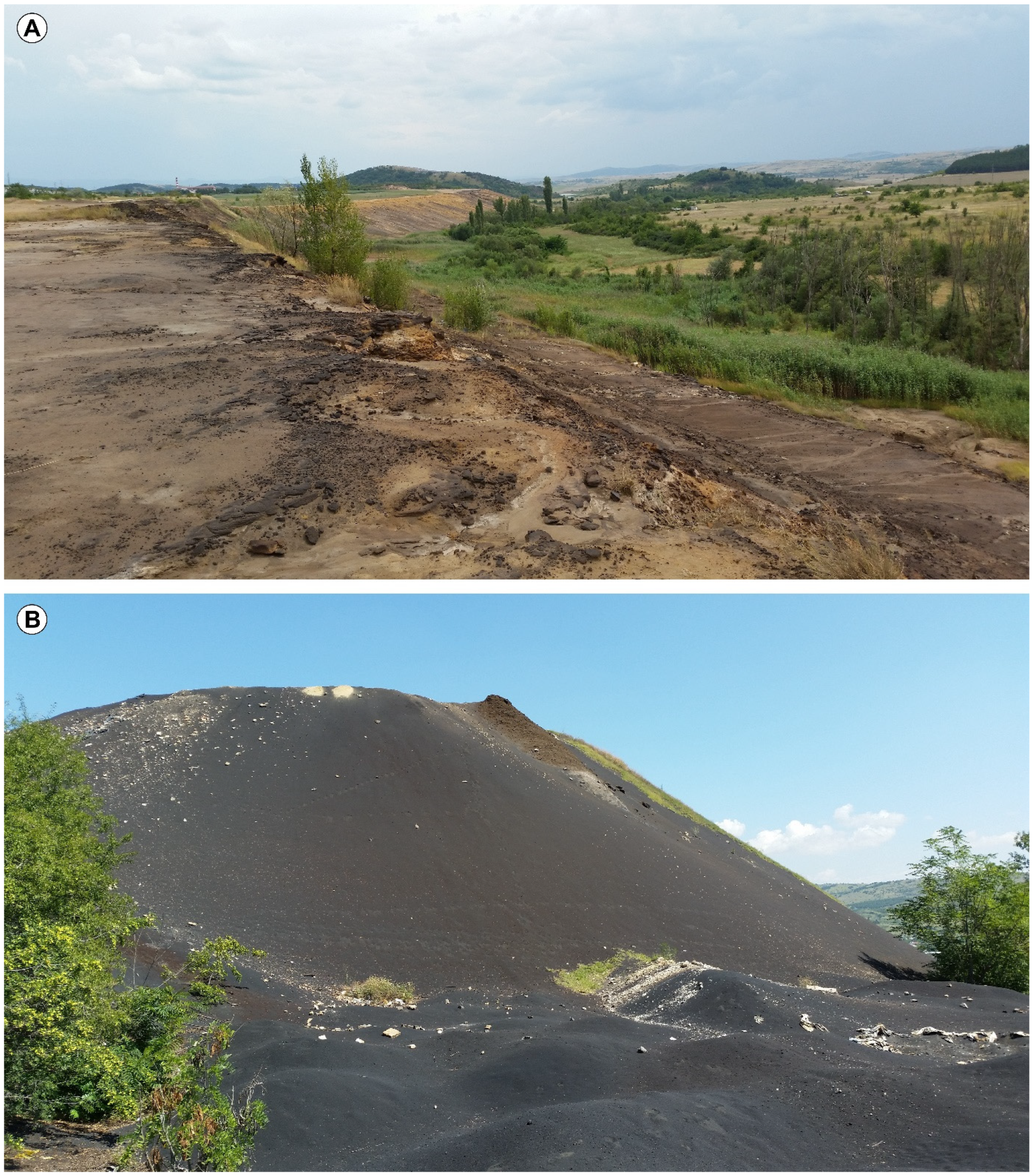 Minerals 14 00120 g003