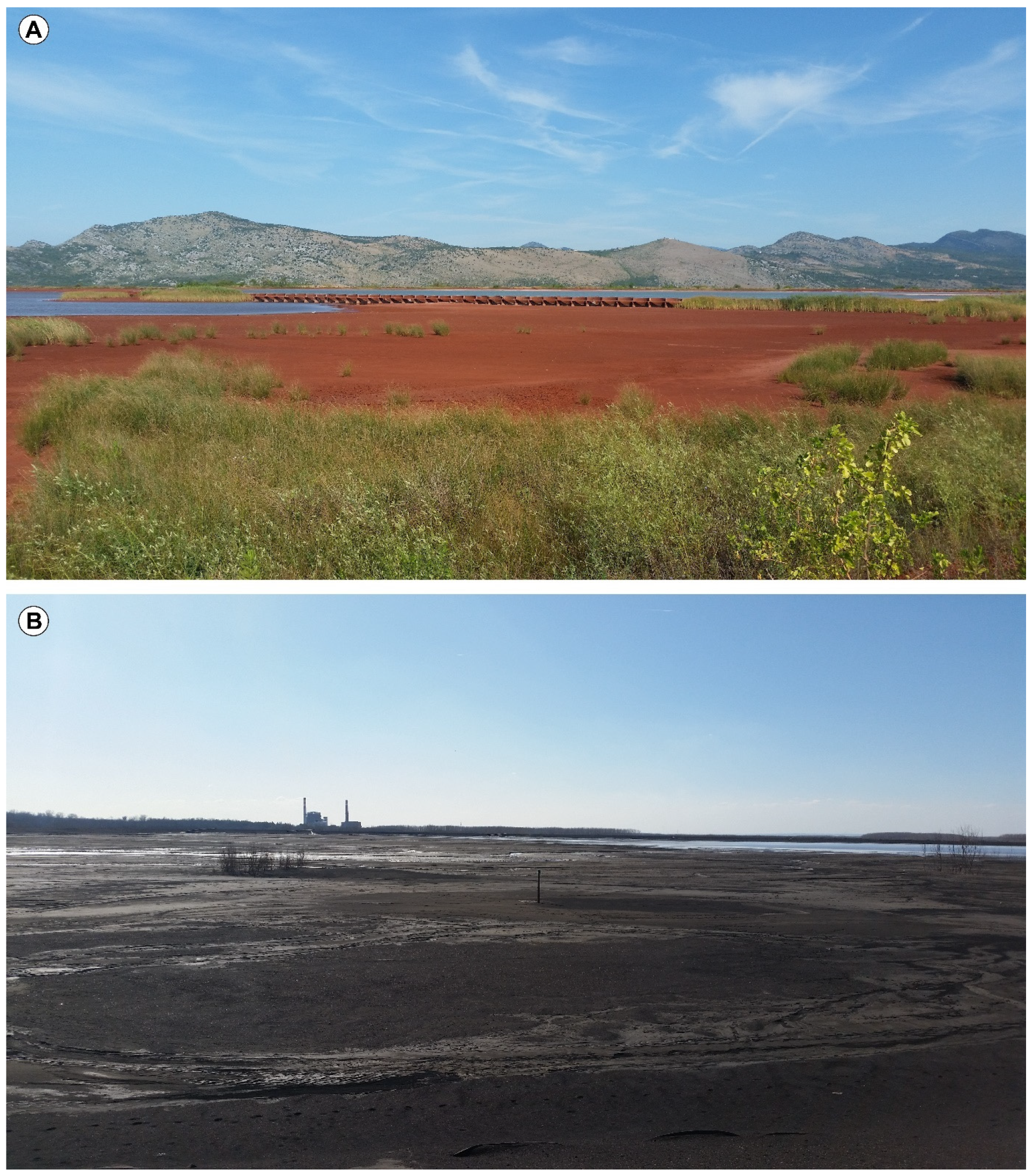 Minerals 14 00120 g004