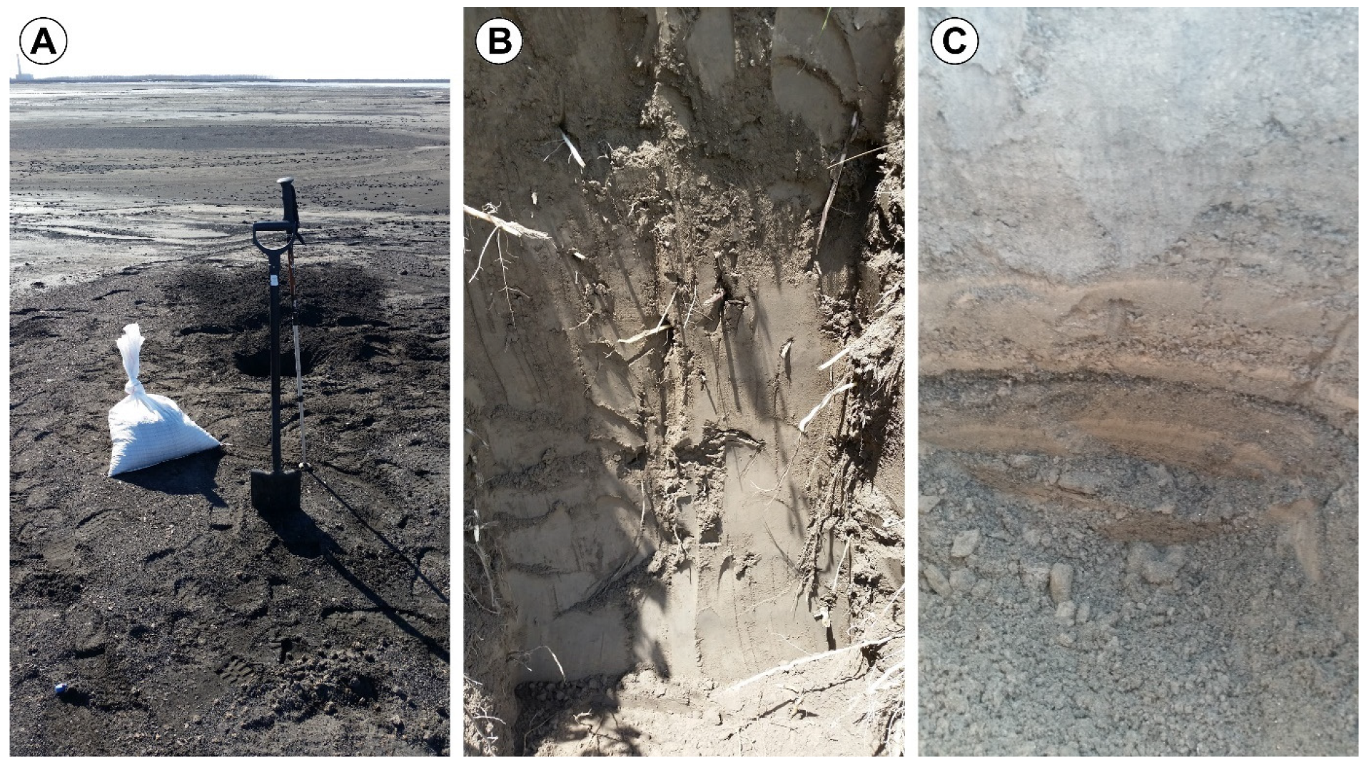 Minerals 14 00120 g005