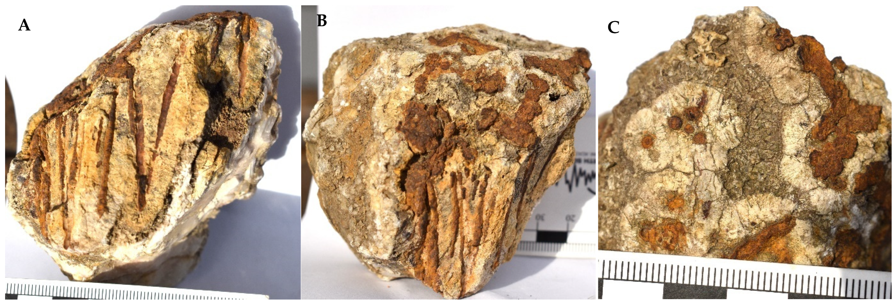 Minerals 14 00125 g004 Minerals 14 00125 g004