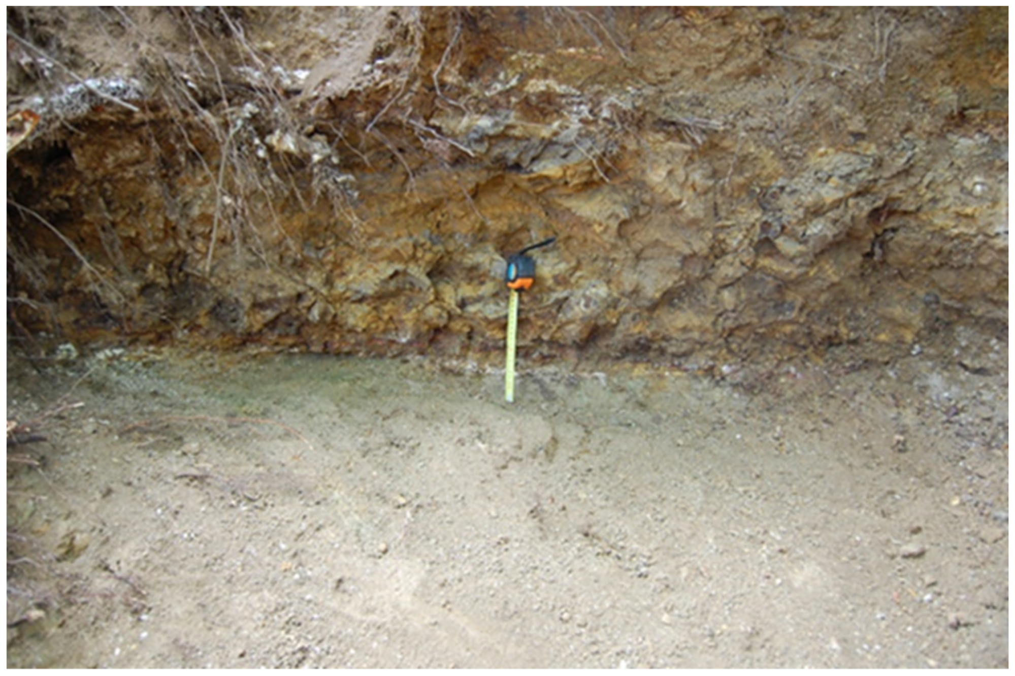 Minerals 14 00125 g005 Minerals 14 00125 g005