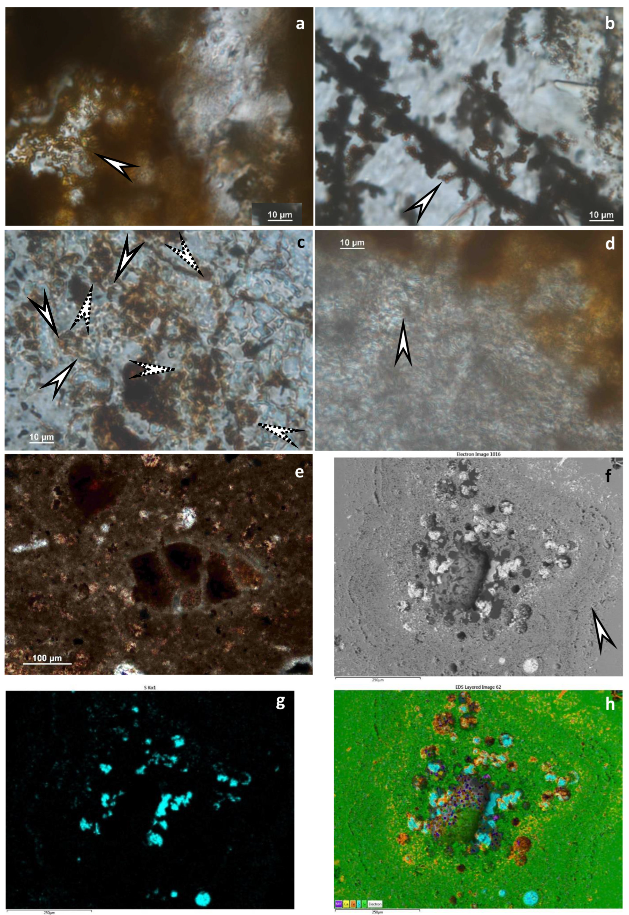 Minerals 14 00125 g007 Minerals 14 00125 g007