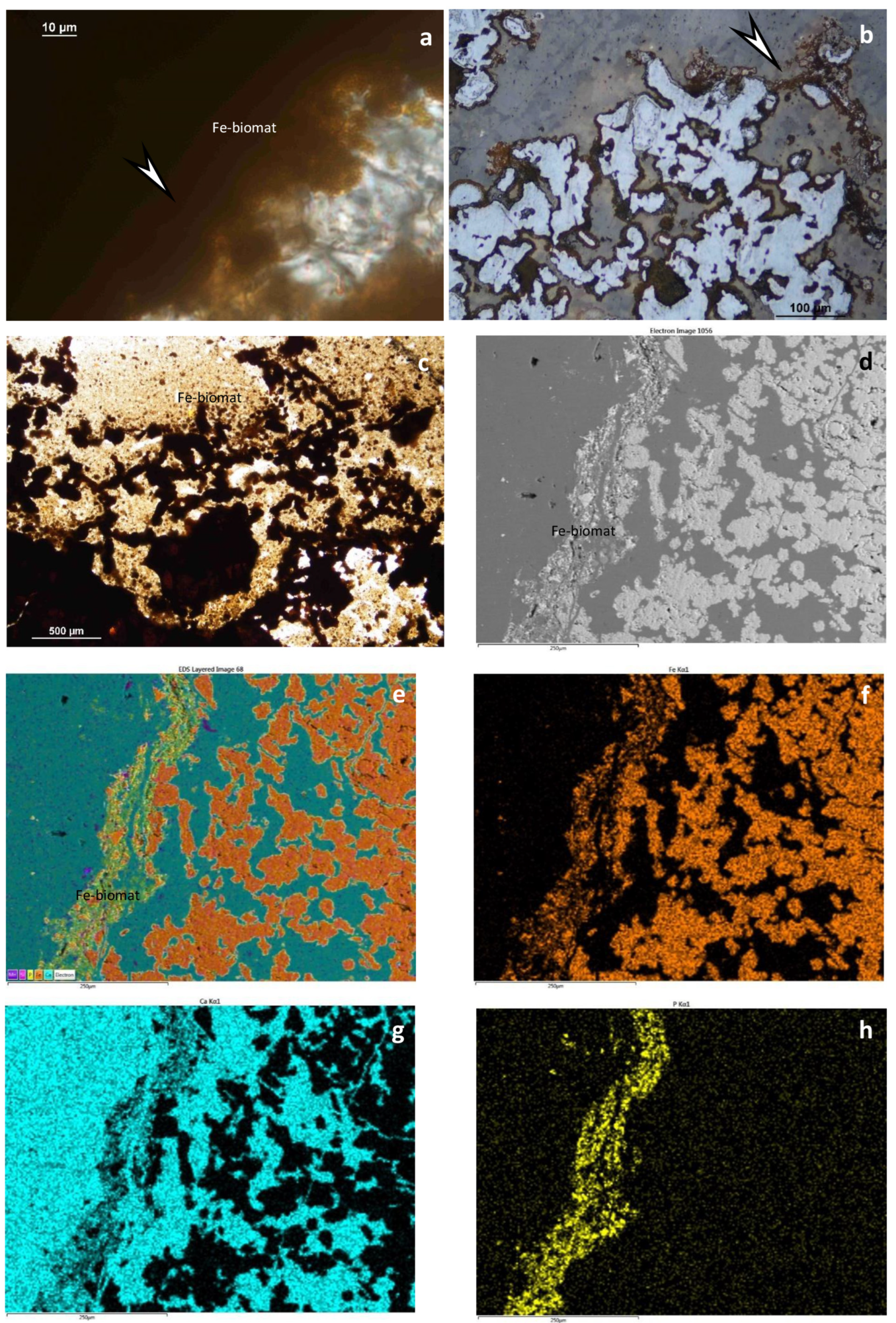Minerals 14 00125 g010 Minerals 14 00125 g010