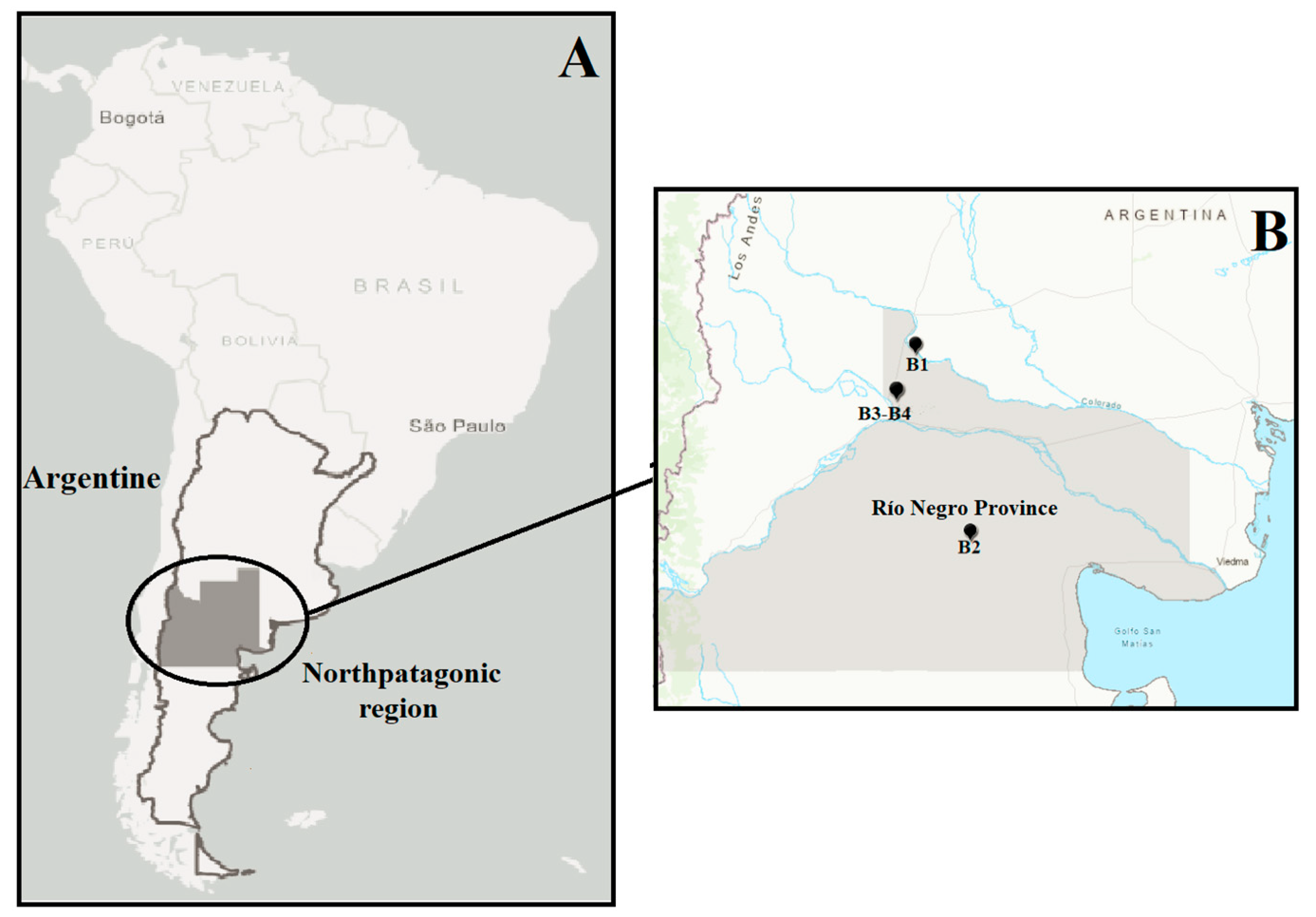 Minerals 14 00133 g001