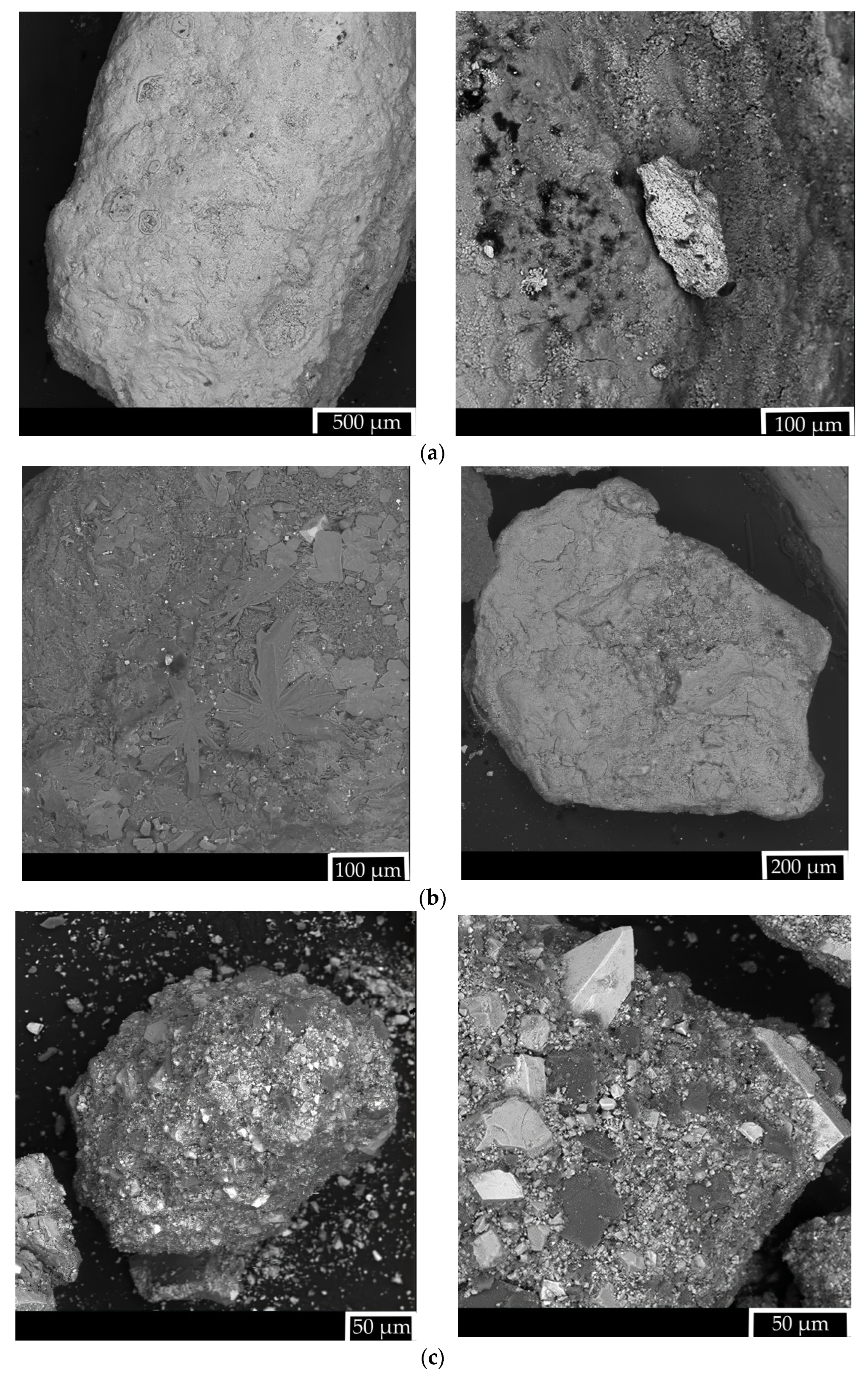 Minerals 14 00136 g001a