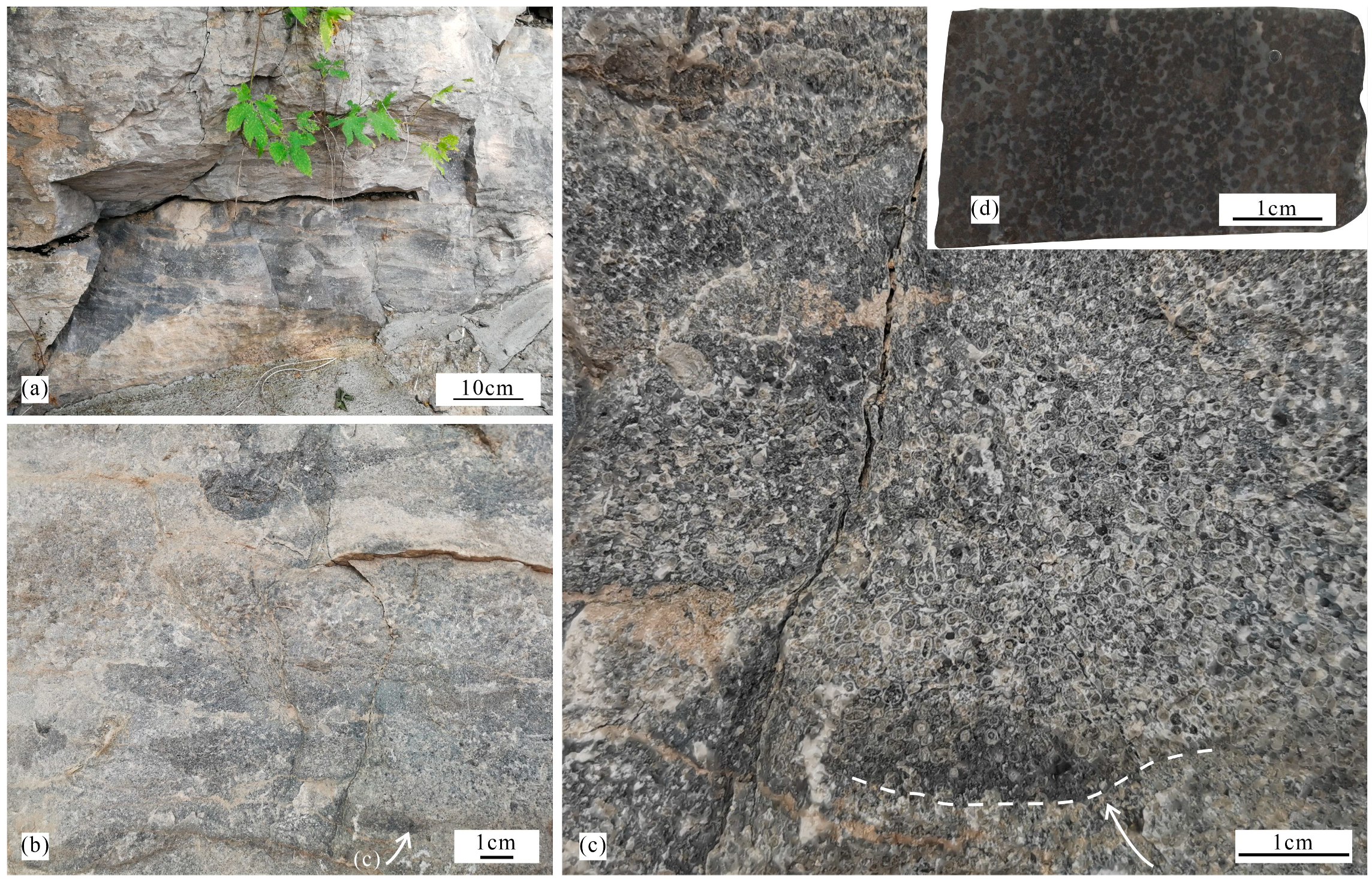 Minerals 14 00144 g003