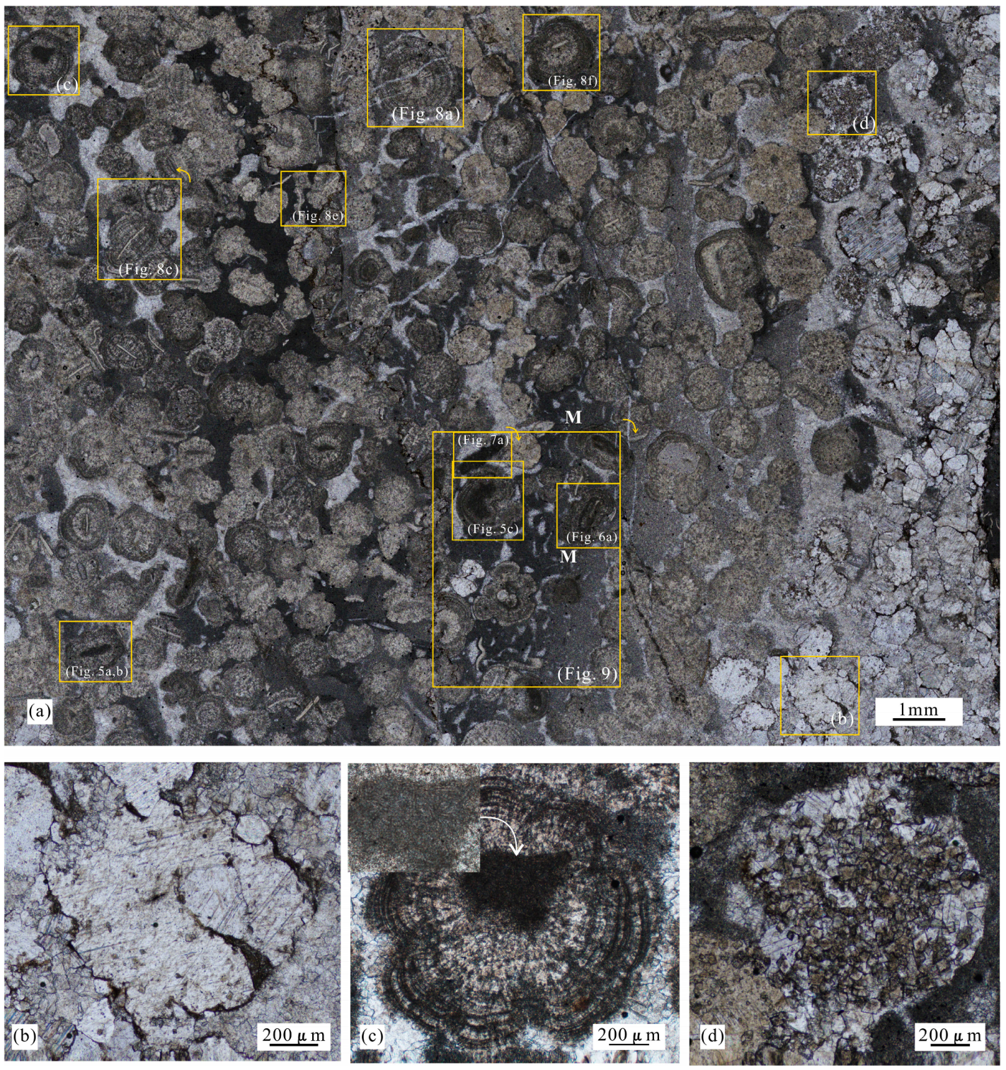 Minerals 14 00144 g004