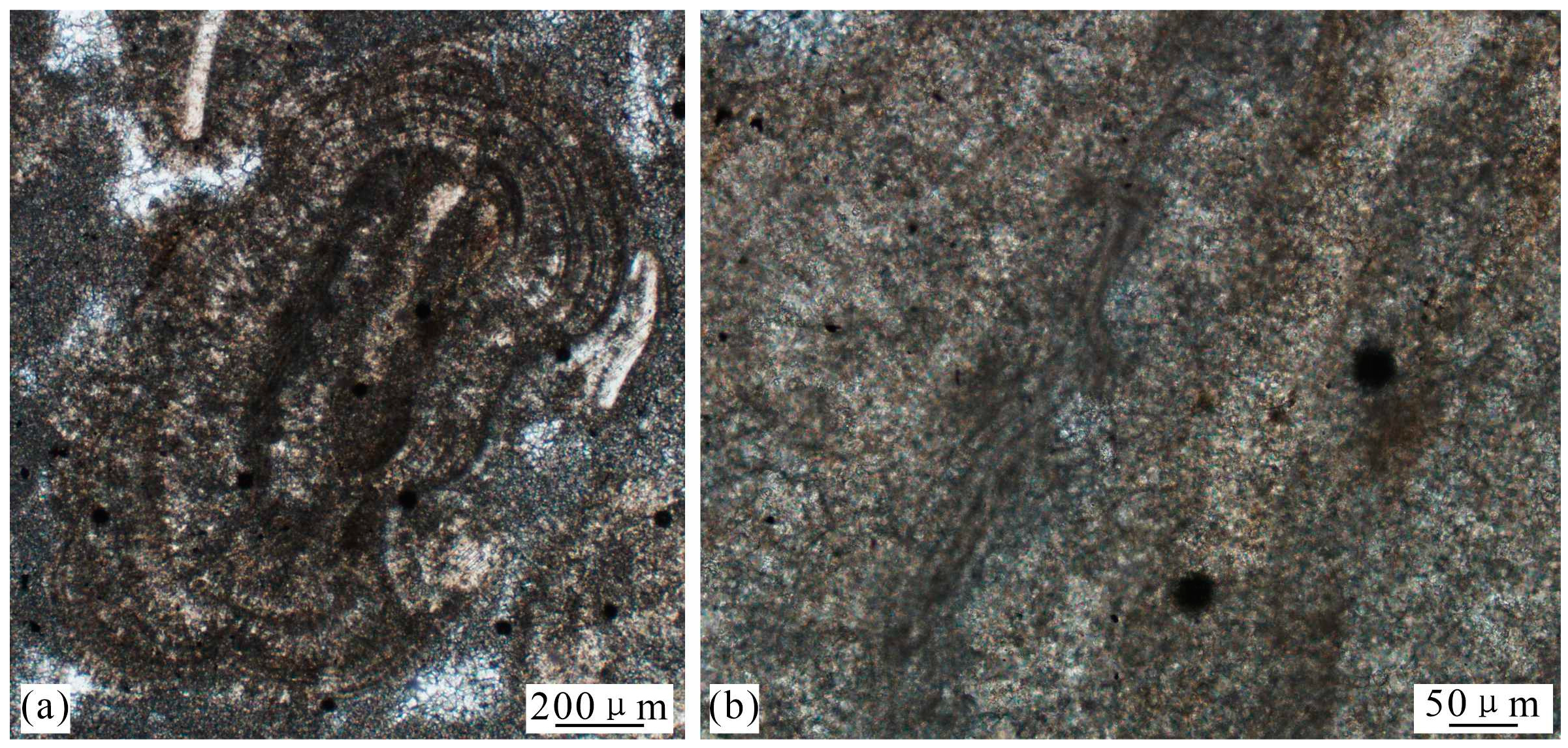 Minerals 14 00144 g006