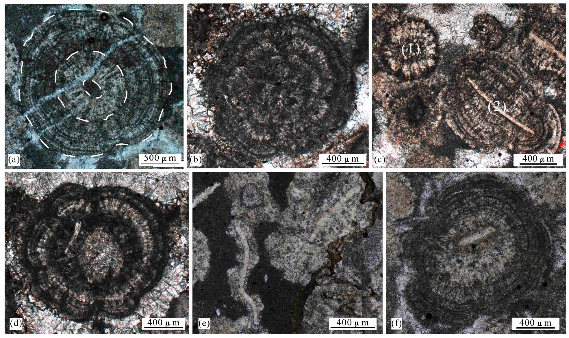 Minerals 14 00144 g008