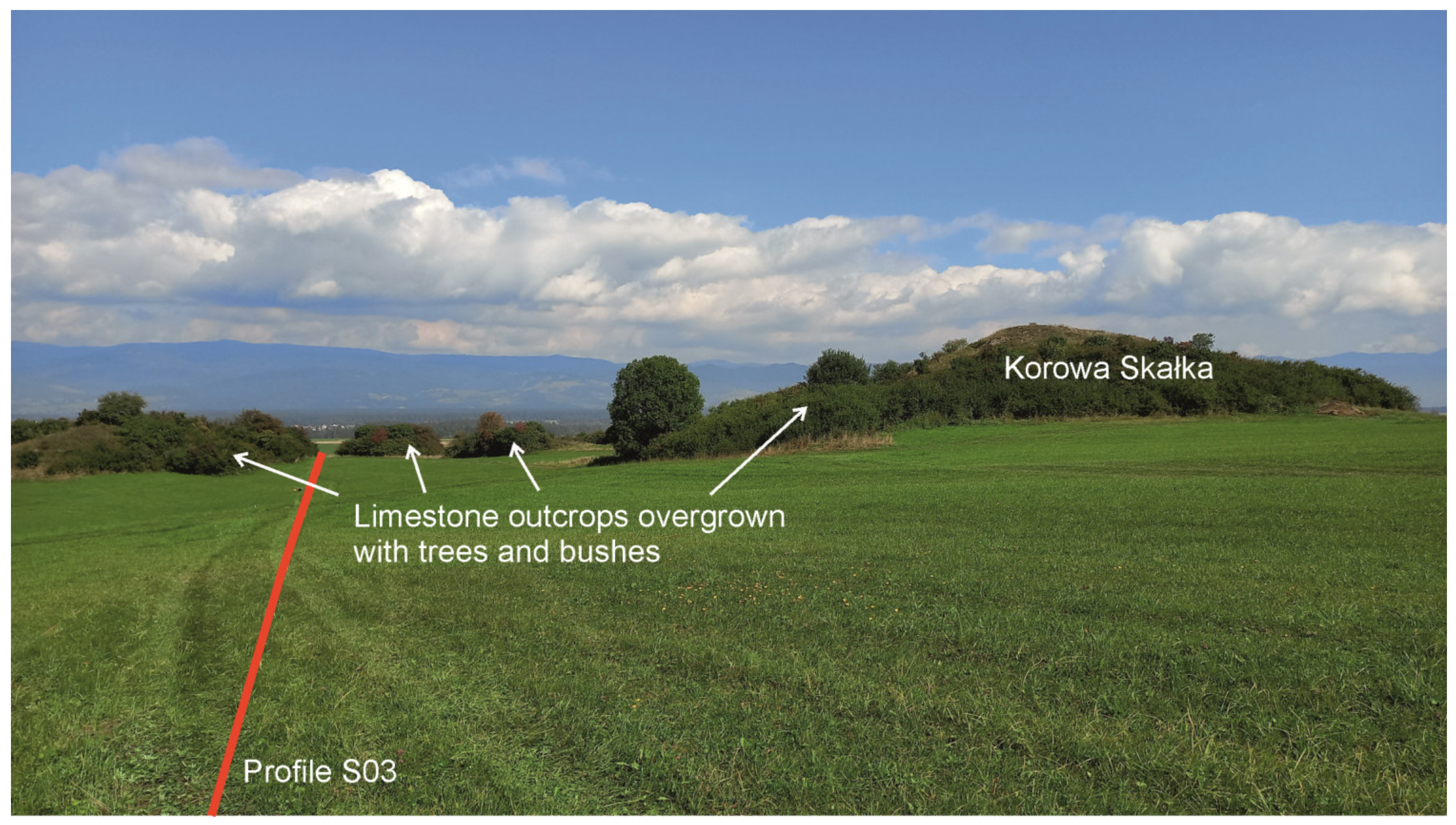 Minerals 14 00155 g006