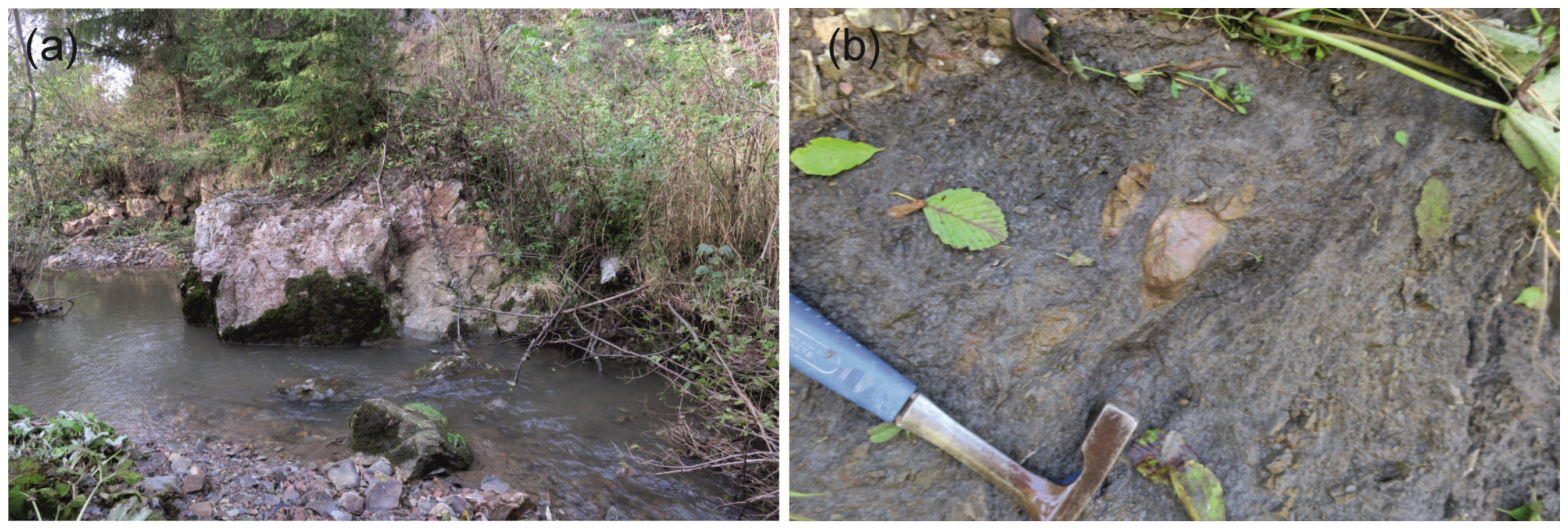 Minerals 14 00155 g009