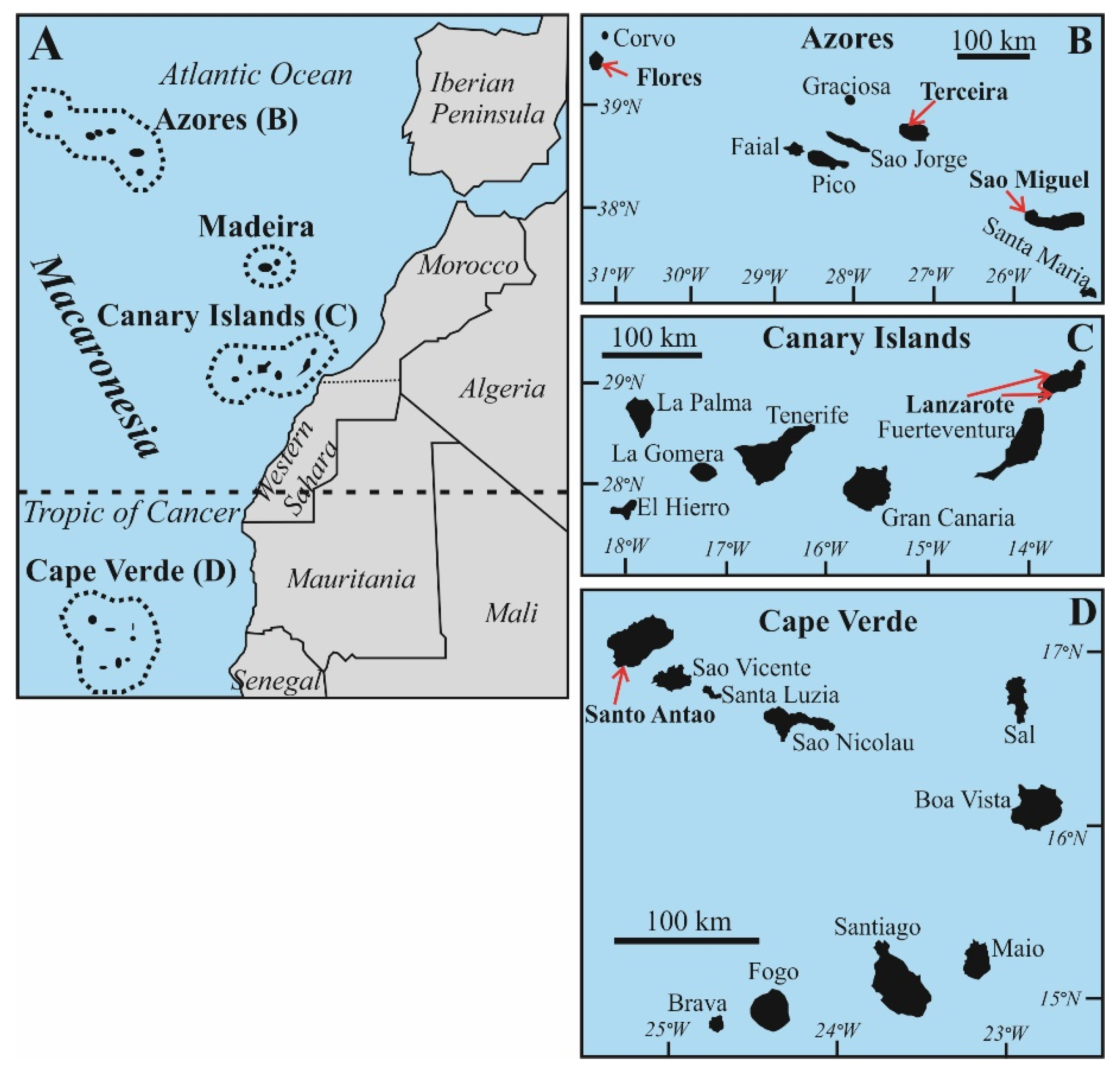 Minerals 14 00161 g001