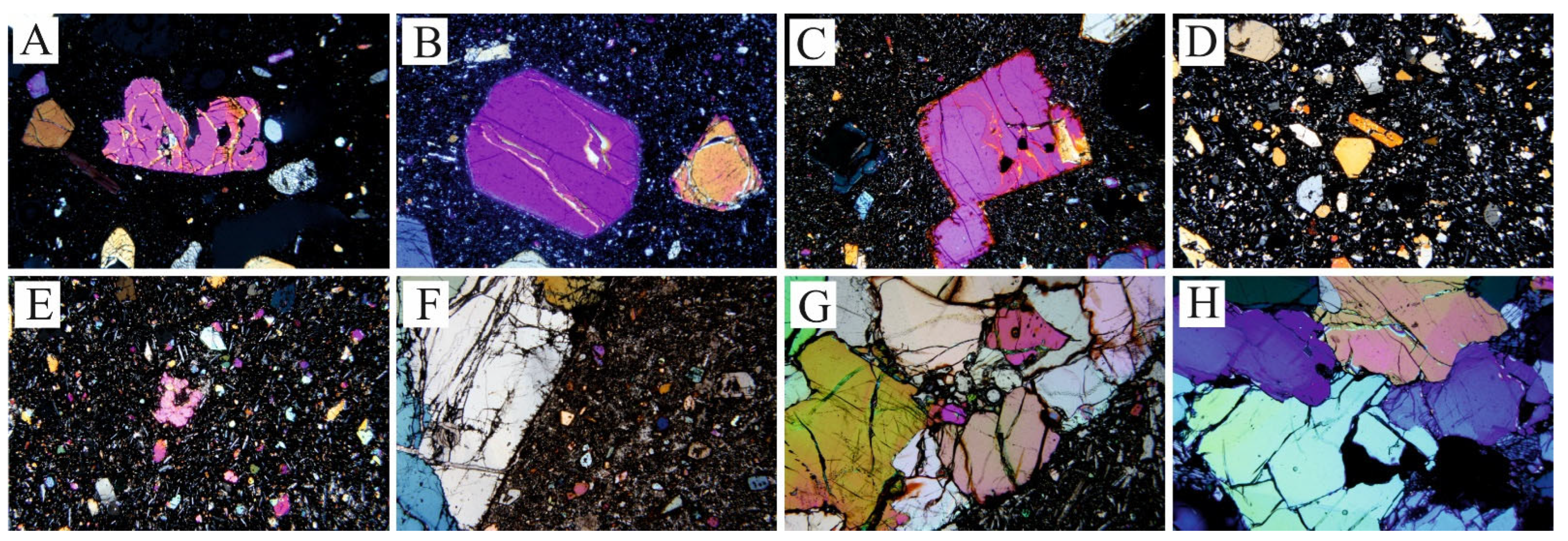 Minerals 14 00161 g004