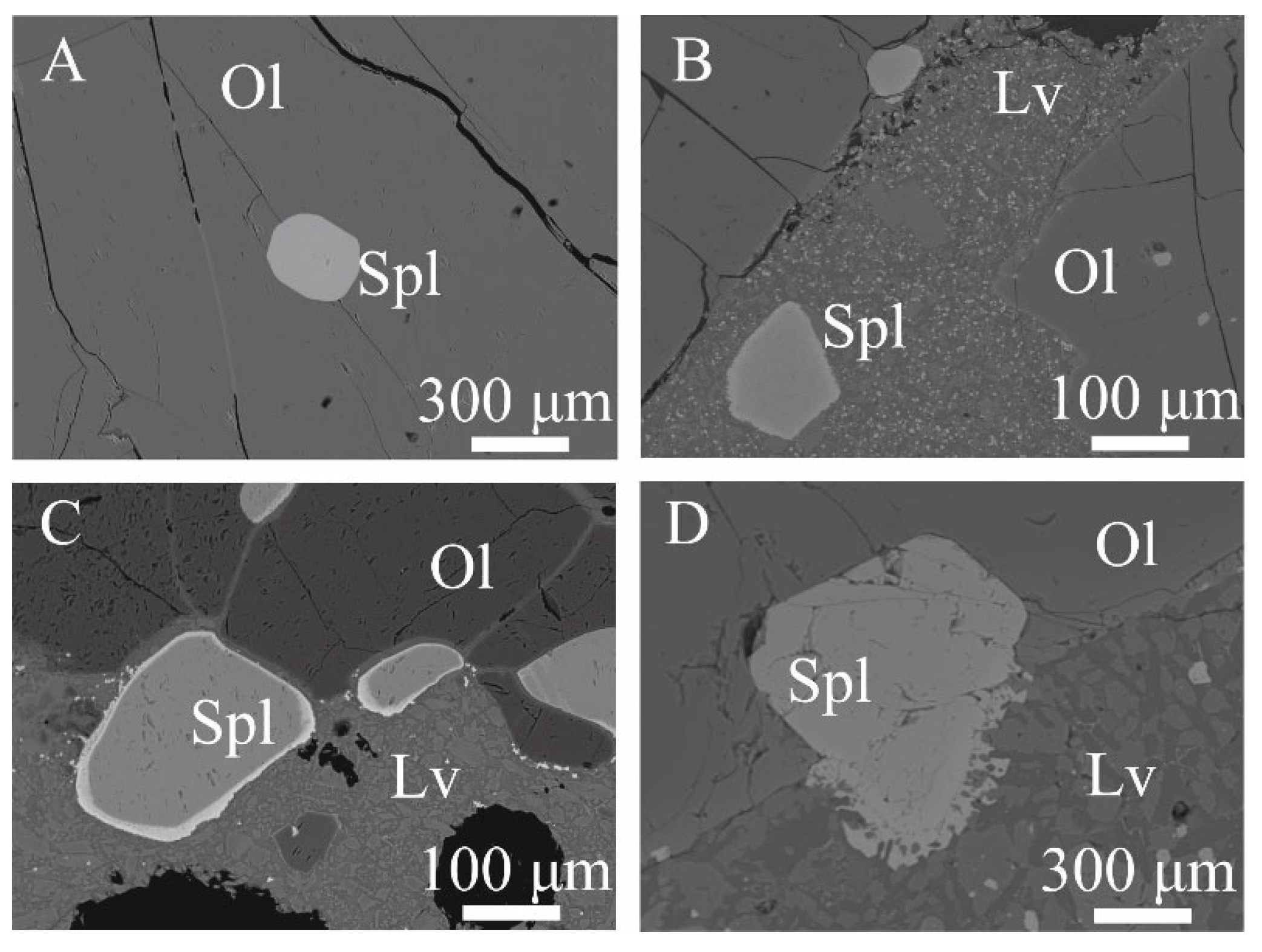 Minerals 14 00161 g013