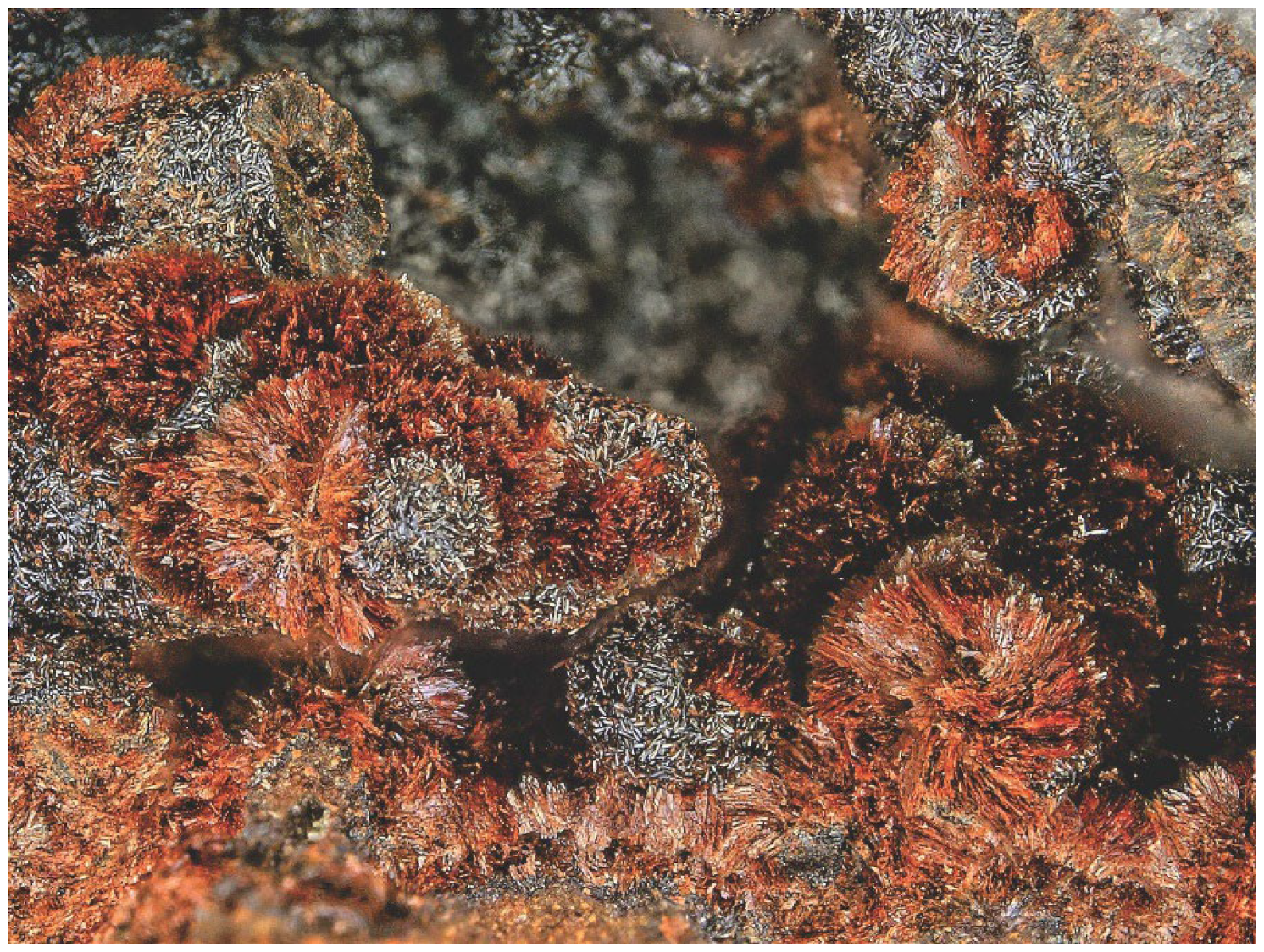 Minerals 14 00175 g001