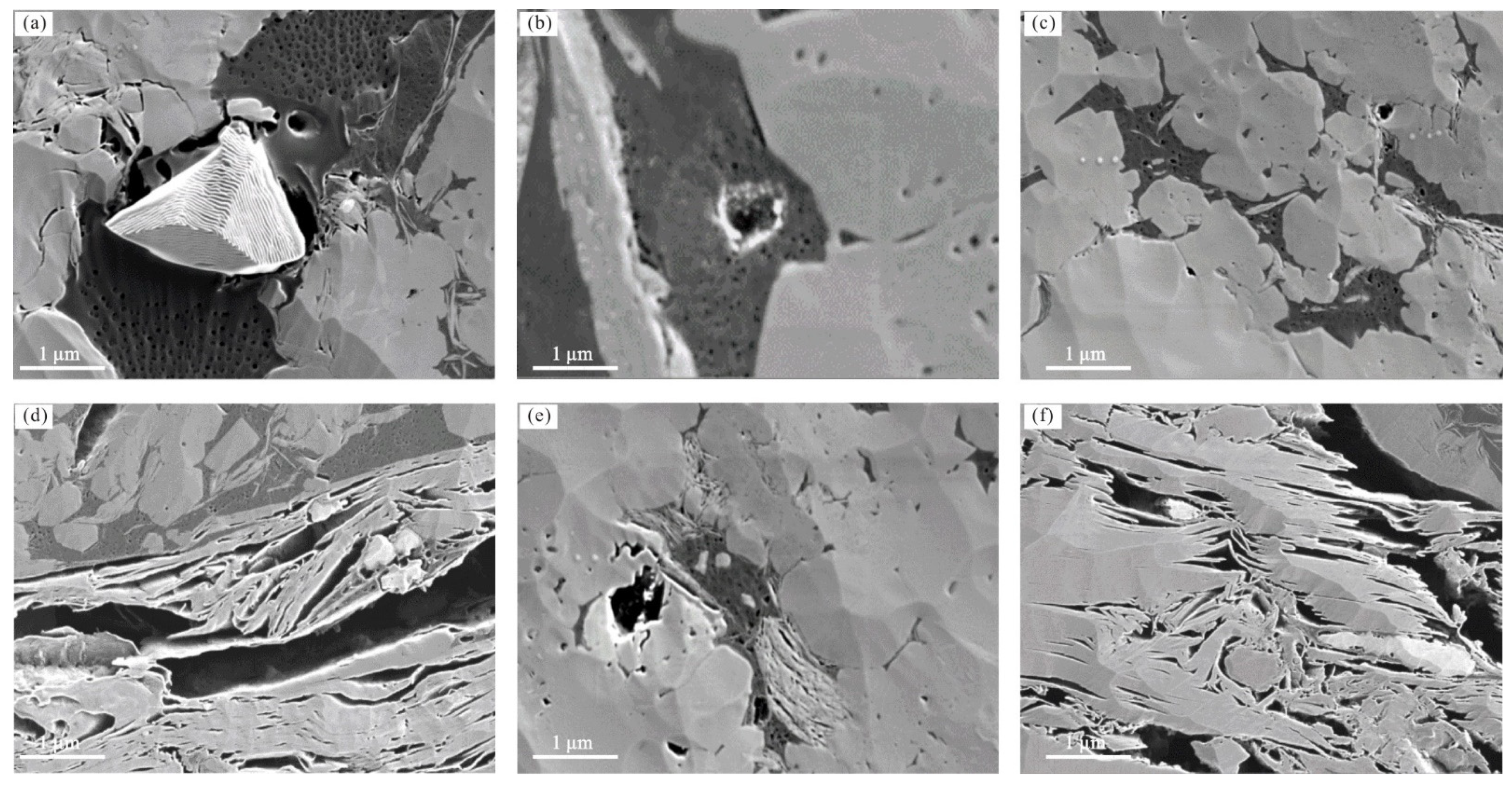 Minerals 14 00182 g008