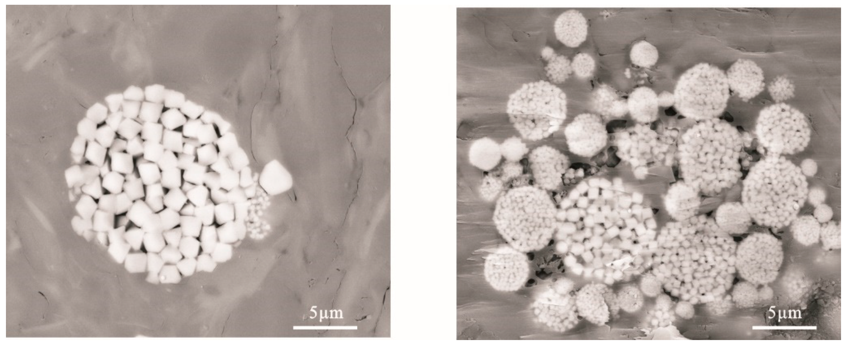 Minerals 14 00183 g007