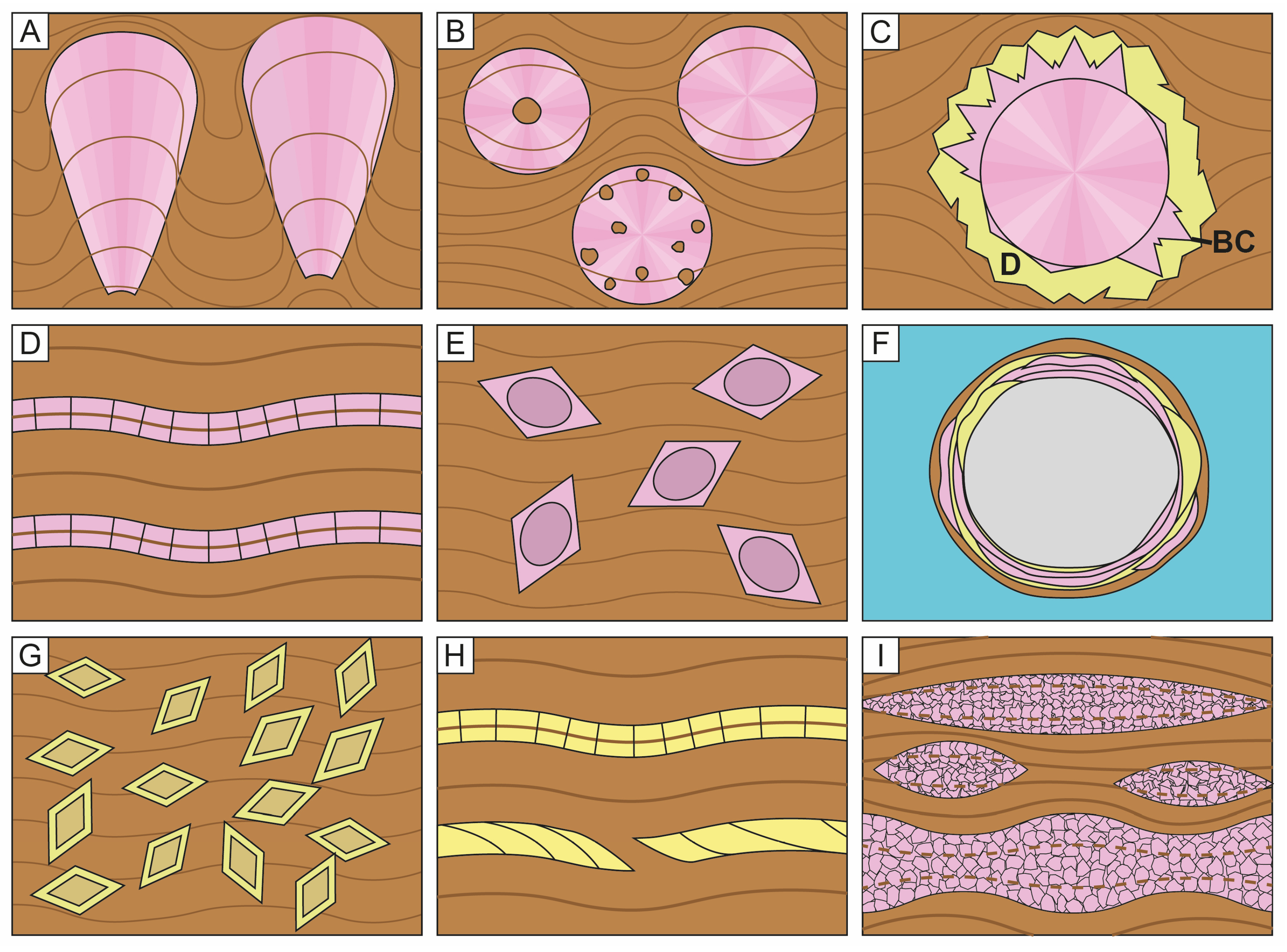 Minerals 14 00191 g012