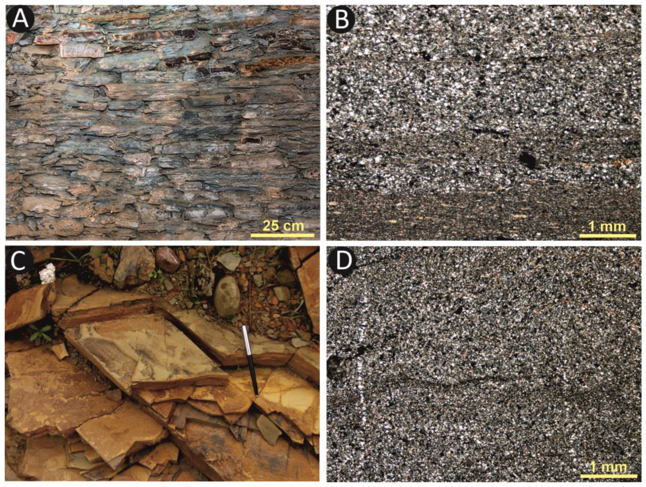 Minerals 14 00194 g004