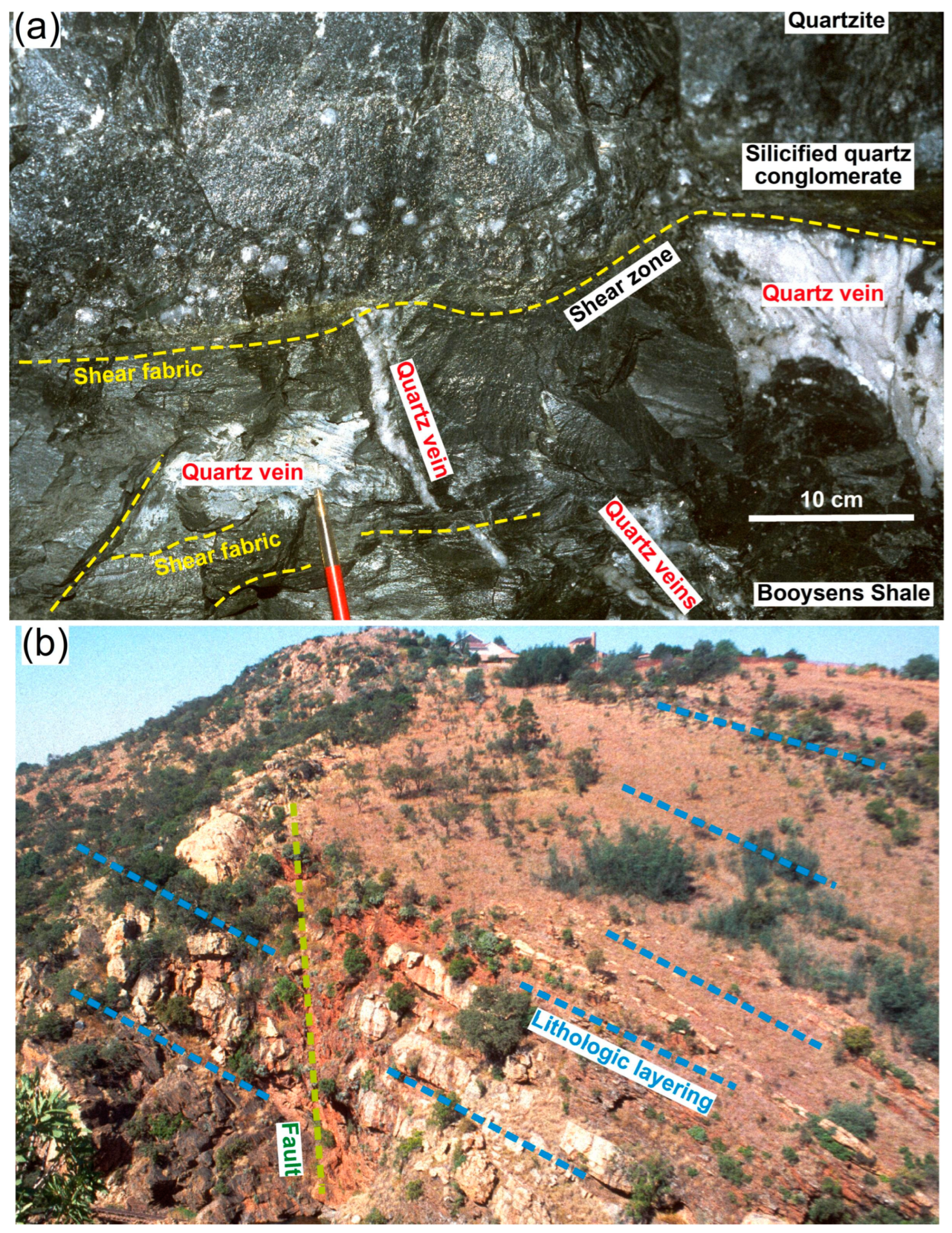 Minerals 14 00199 g008