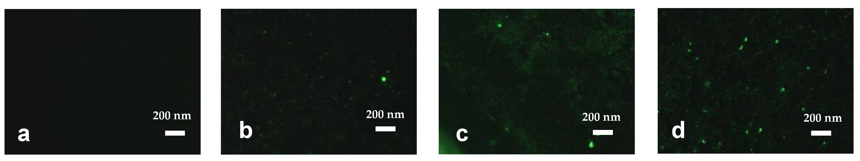 Minerals 14 00207 g003