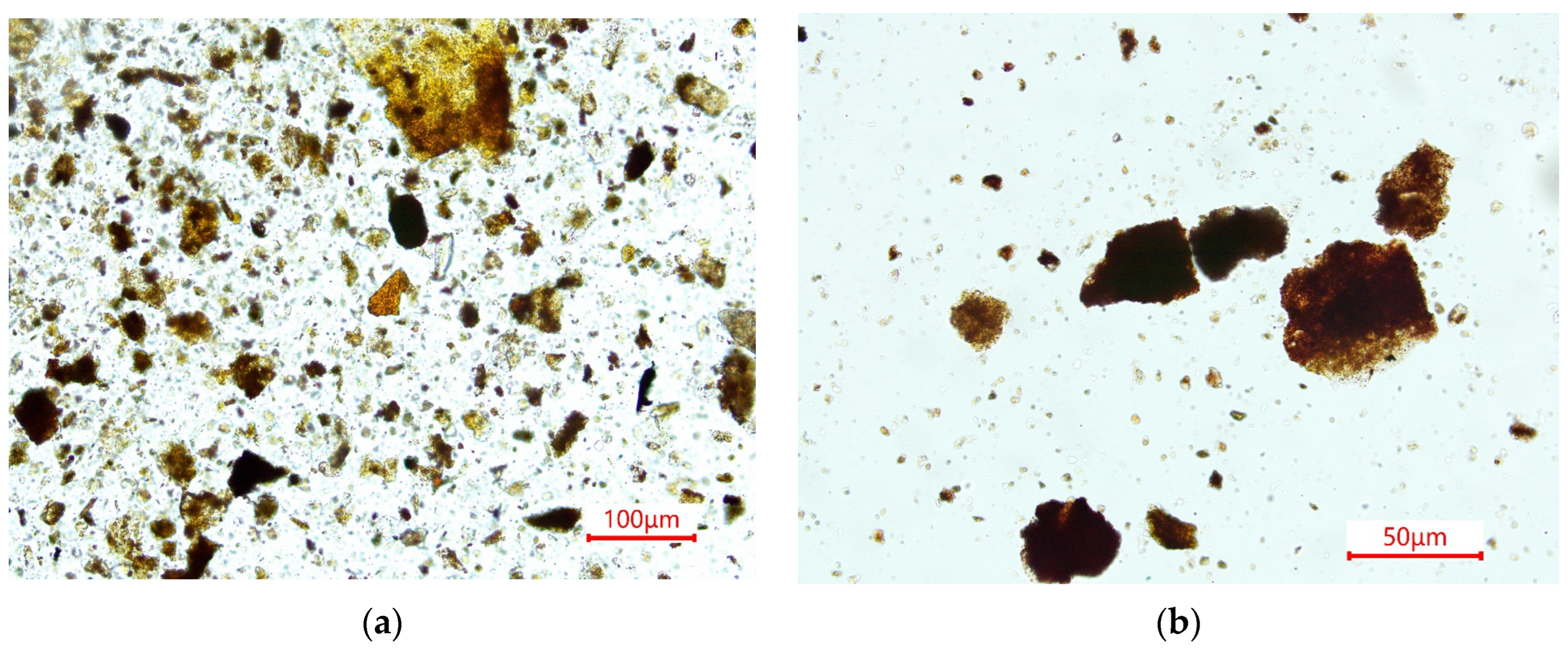 Minerals 14 00221 g003a