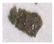 Minerals 14 00225 i005
