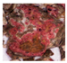 Minerals 14 00225 i007