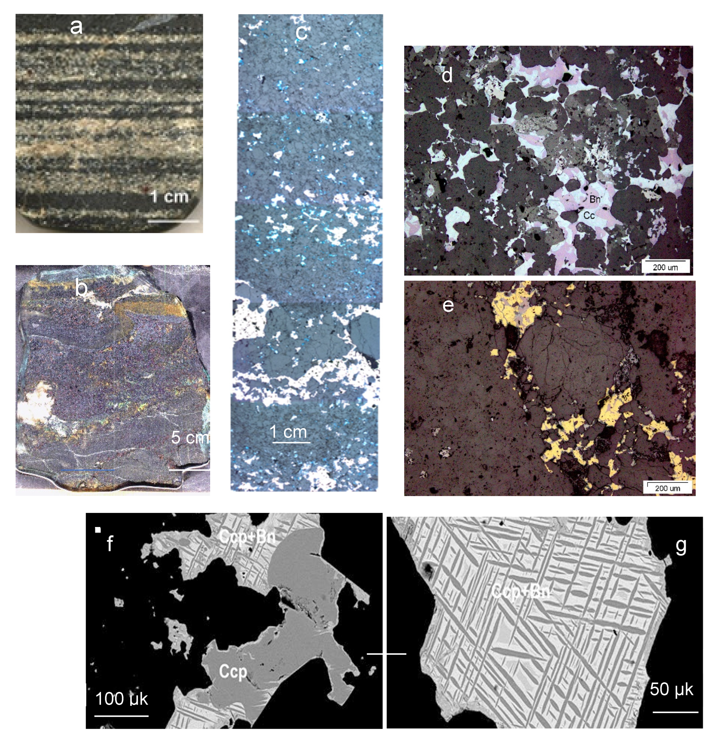 Minerals 14 00228 g005