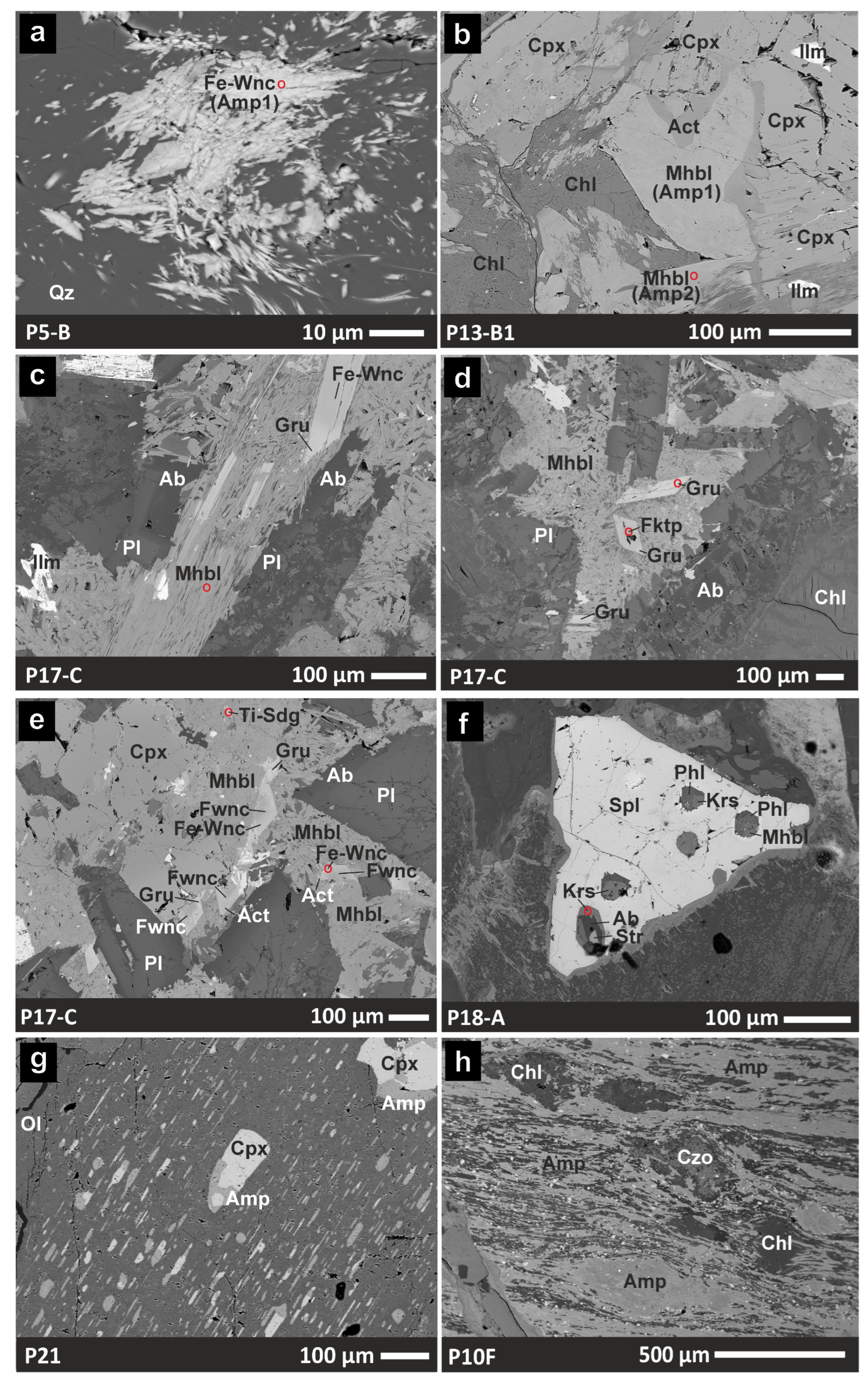Minerals 14 00239 g004
