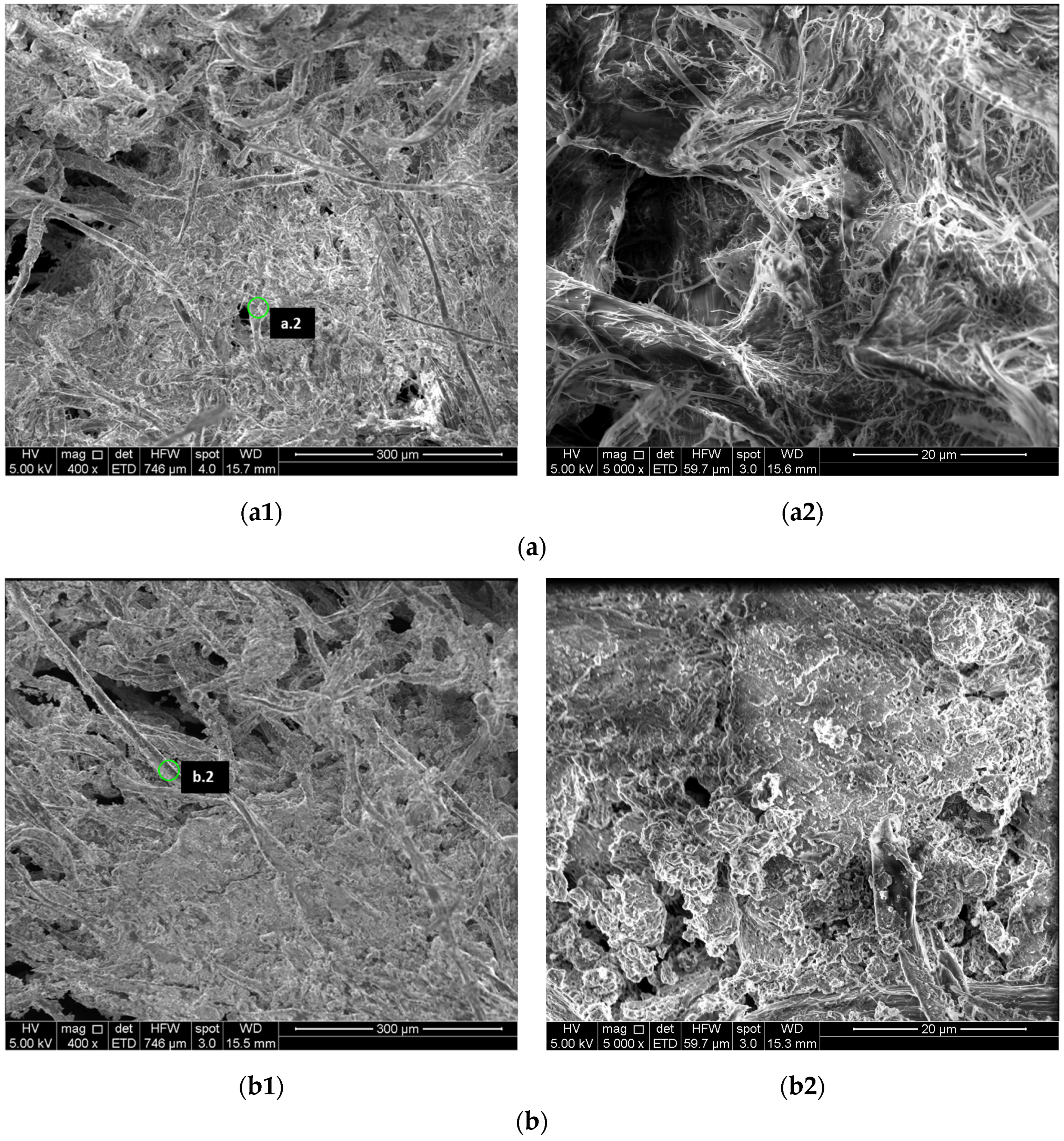 Minerals 14 00240 g003a